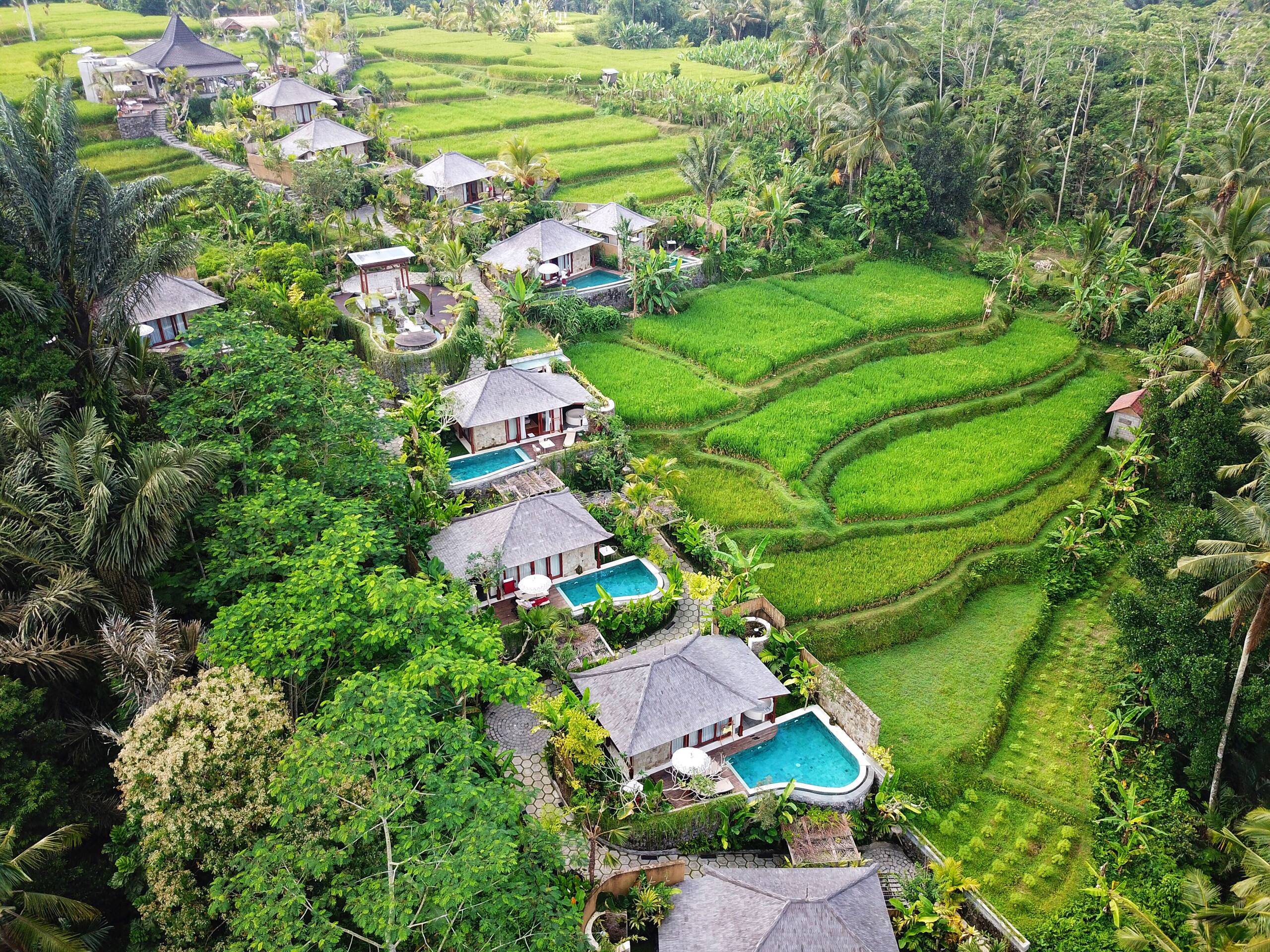 Nau Villa Ubud -  Find your home away from home — photo 3