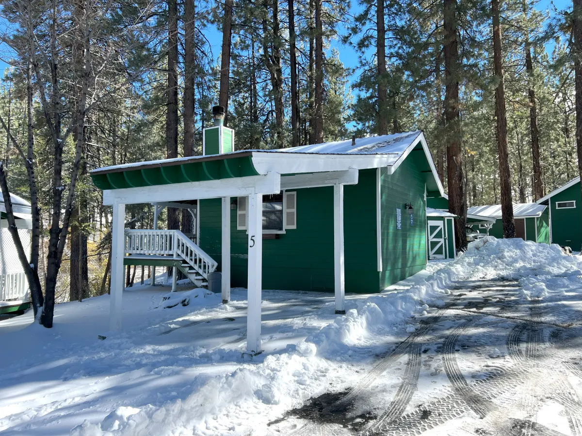 Unique 1 BDRM with Jetted Hot Tub - Bear Manor #5 1