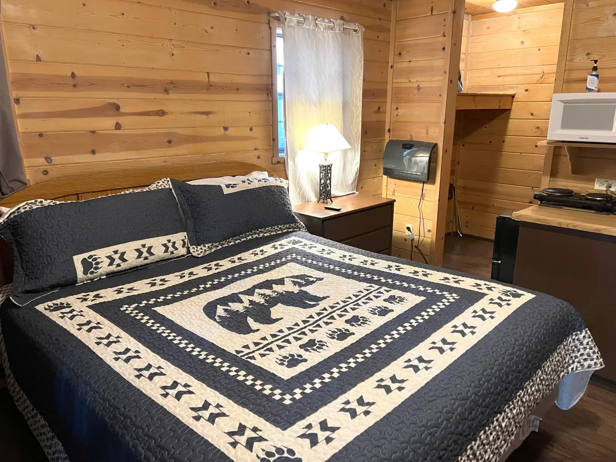 Unique 1 BDRM with Jetted Hot Tub - Bear Manor #5 3