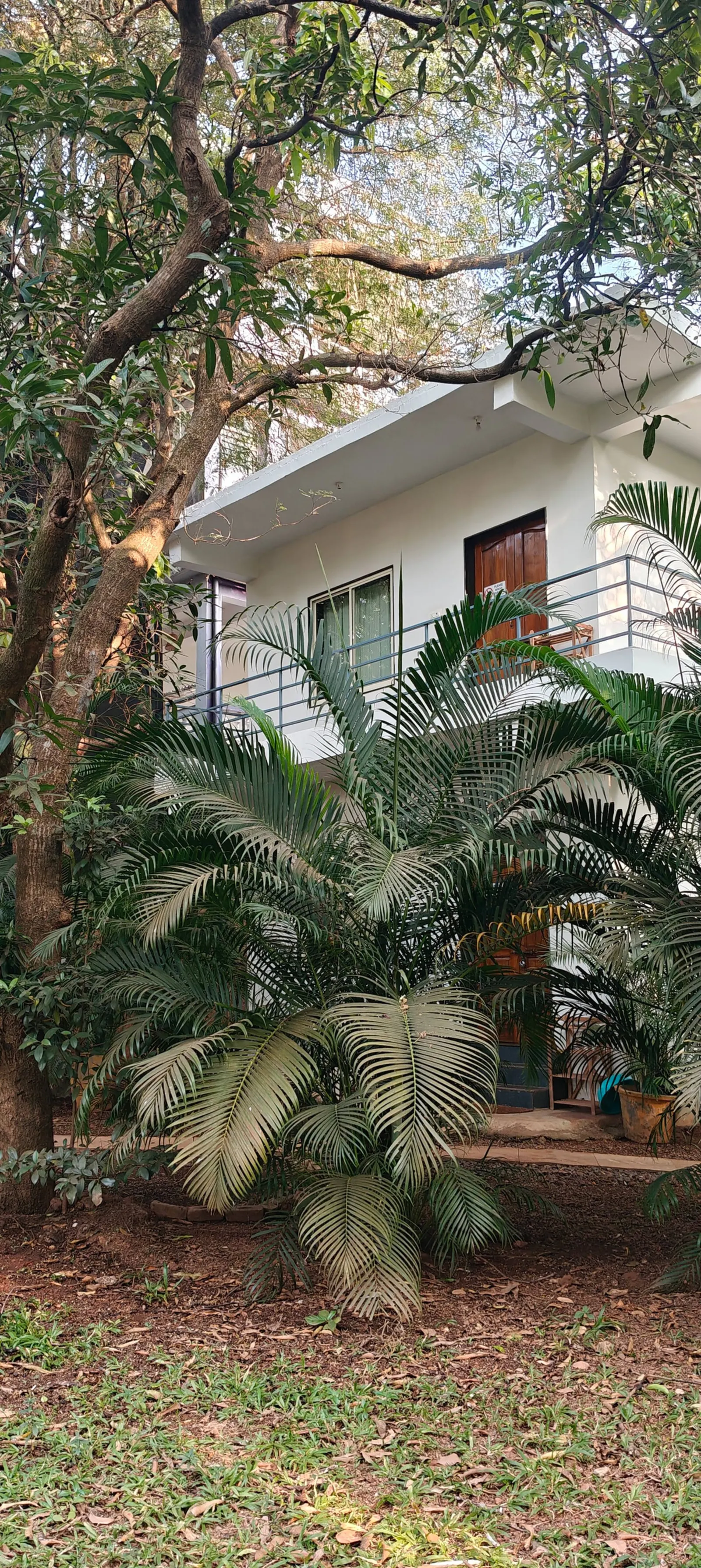 TERRA ROSSA Rooms (80 meters from Morjim beach) 6