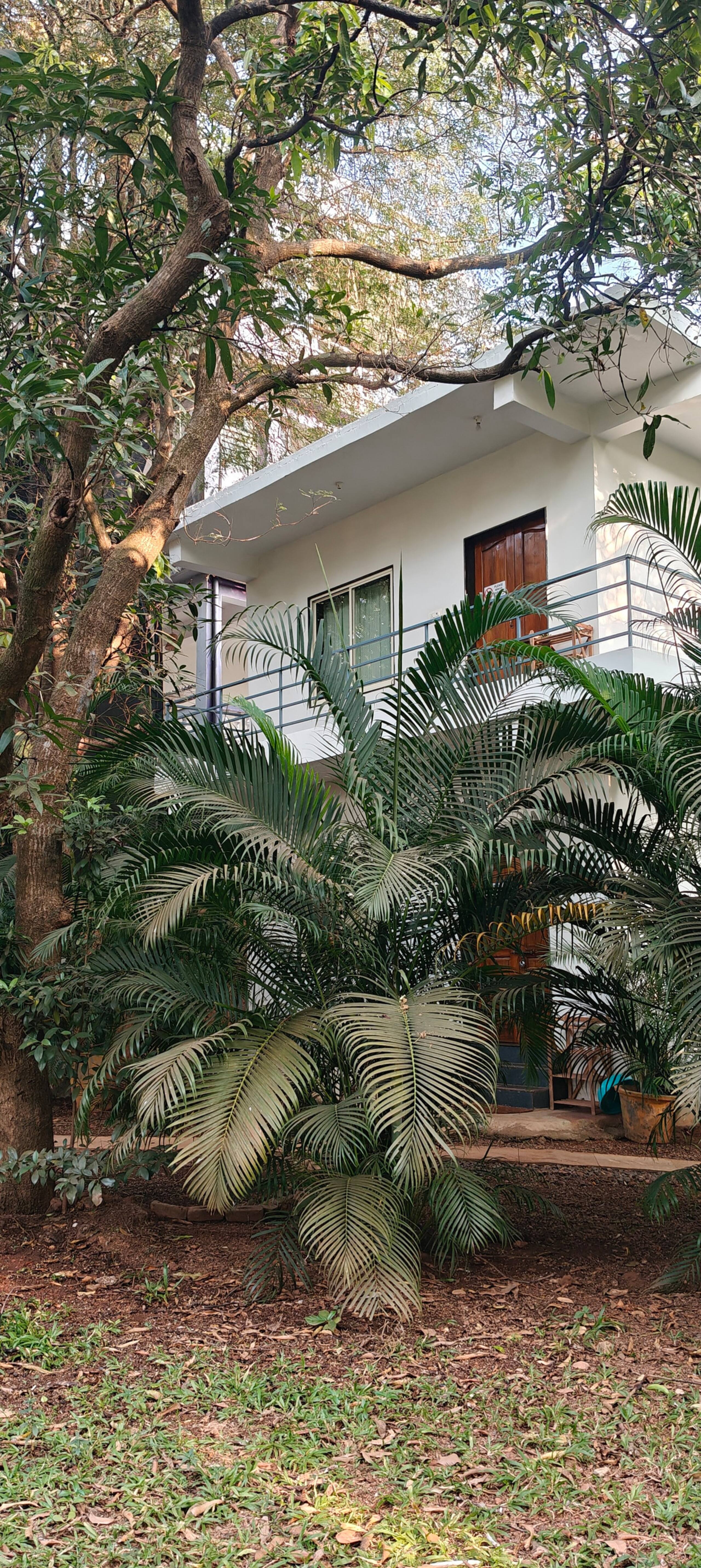 TERRA ROSSA Rooms (80 meters from Morjim beach) 6