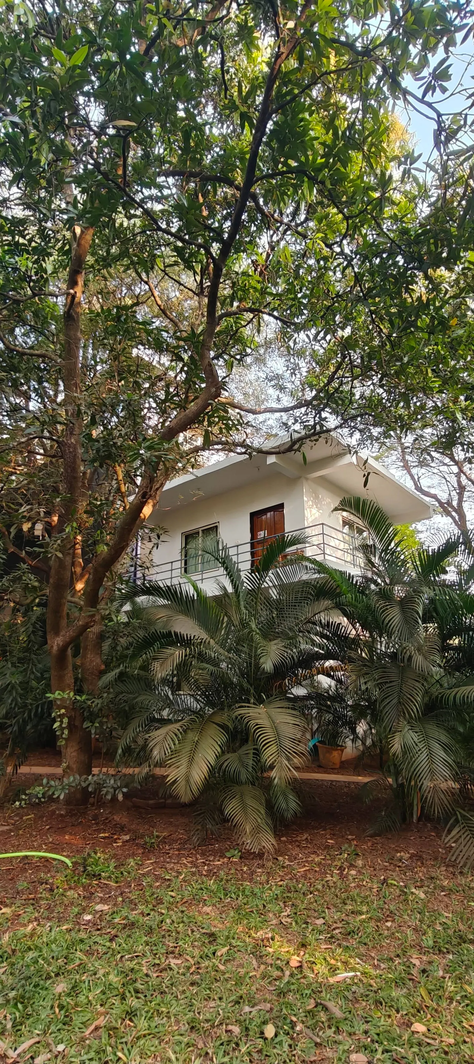 TERRA ROSSA Rooms (80 meters from Morjim beach) 3
