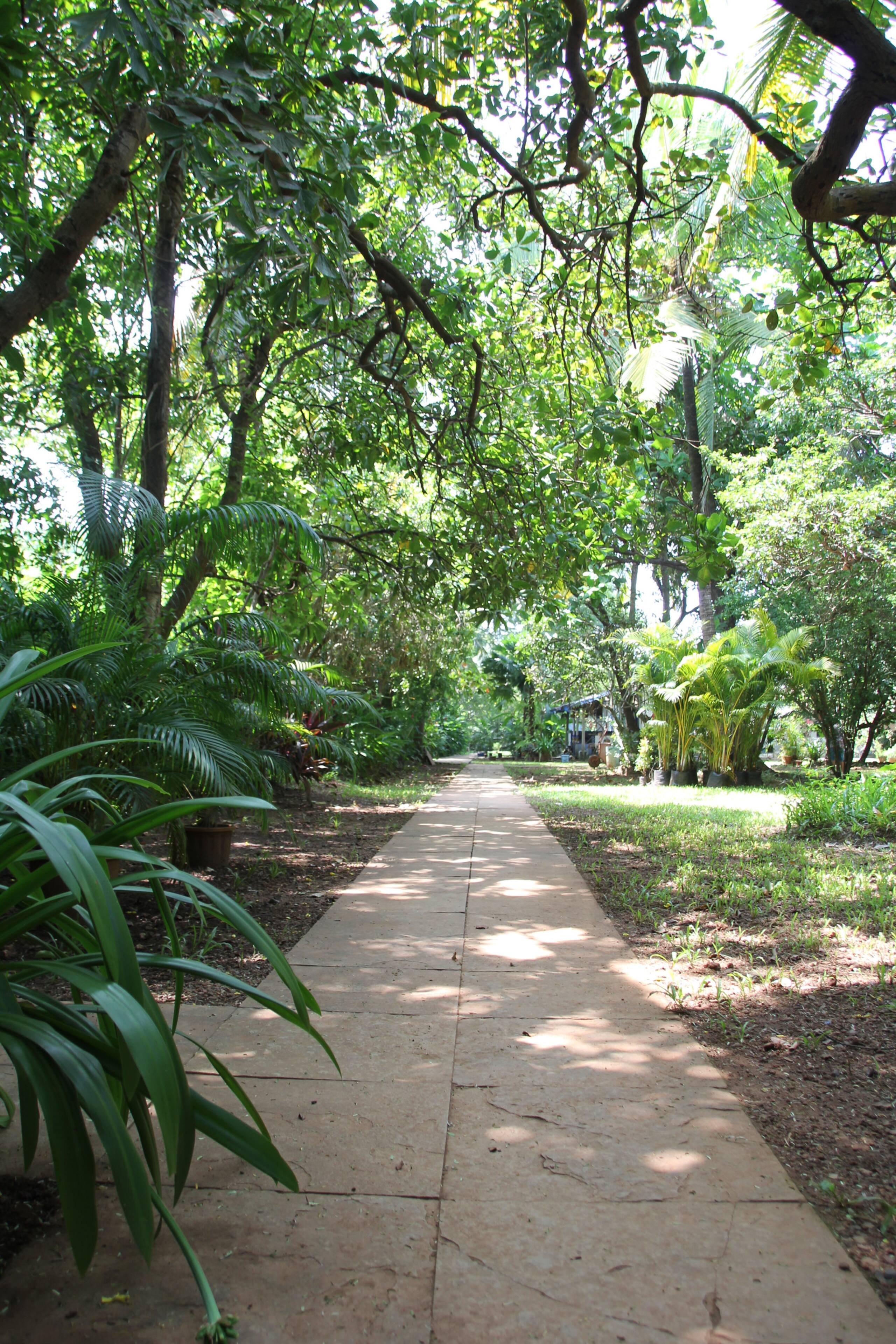 TERRA ROSSA Rooms (80 meters from Morjim beach) 11