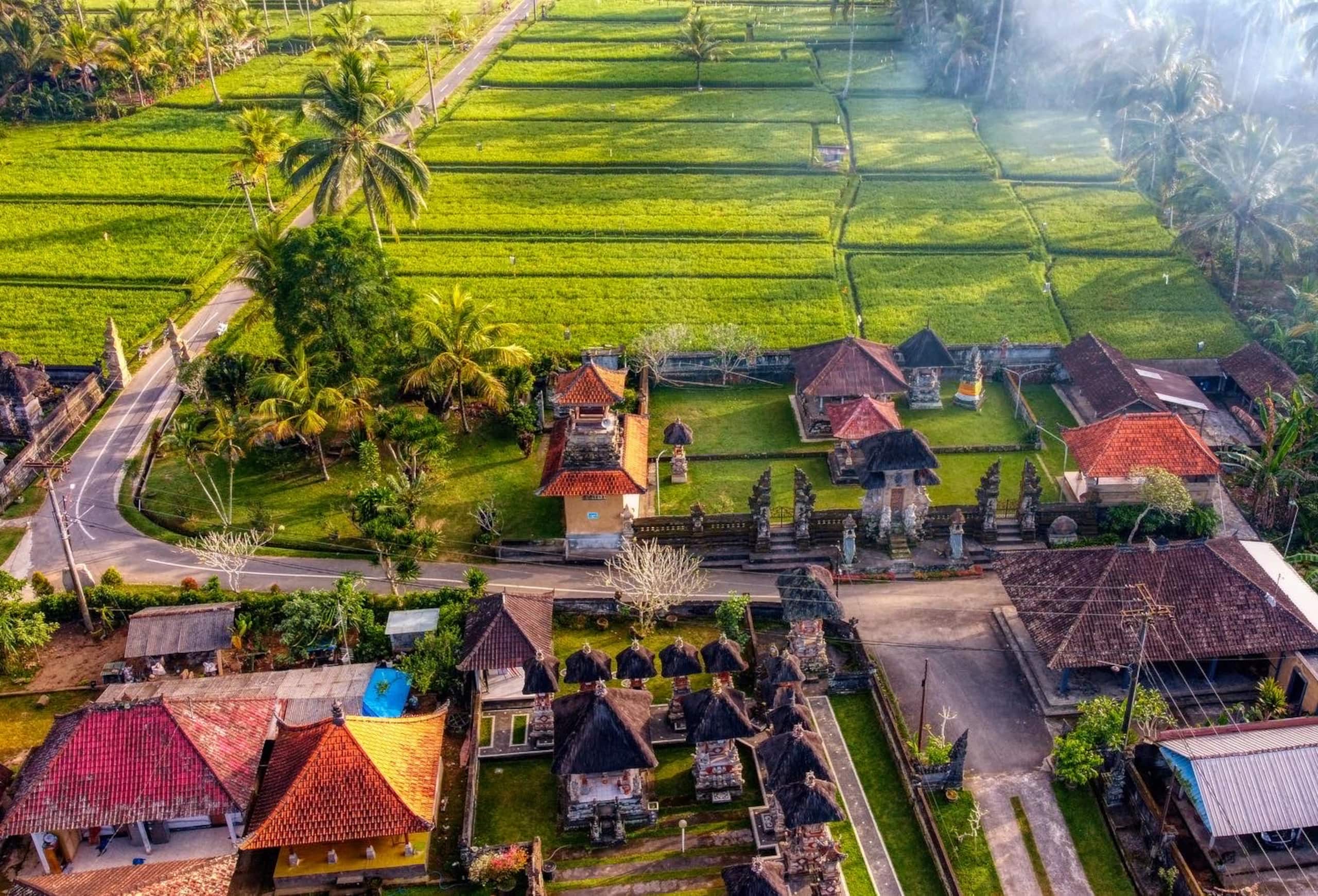 Bali Coconut House