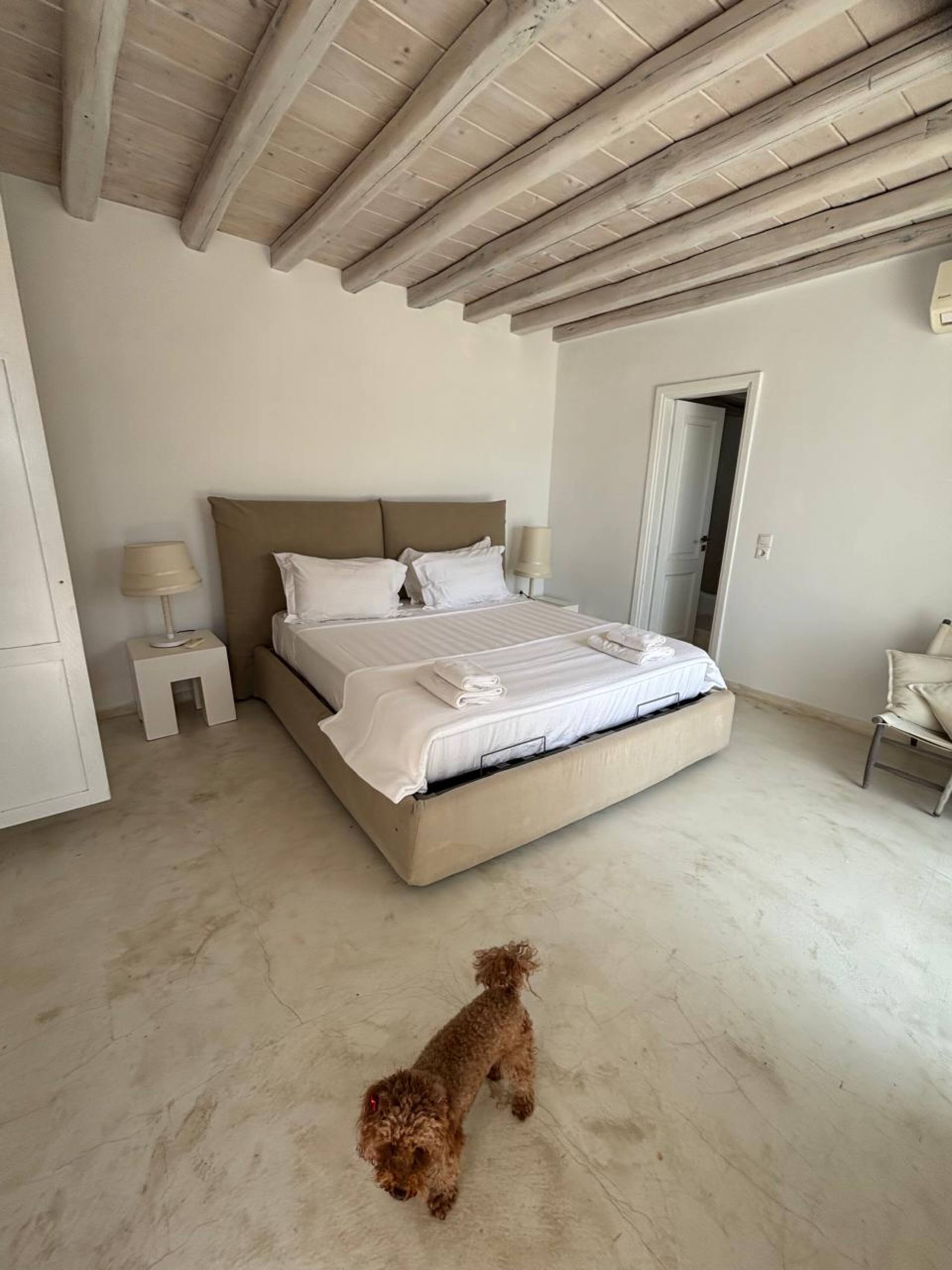 Topos Exclusive Mykonos - Kymothoe Villa 25