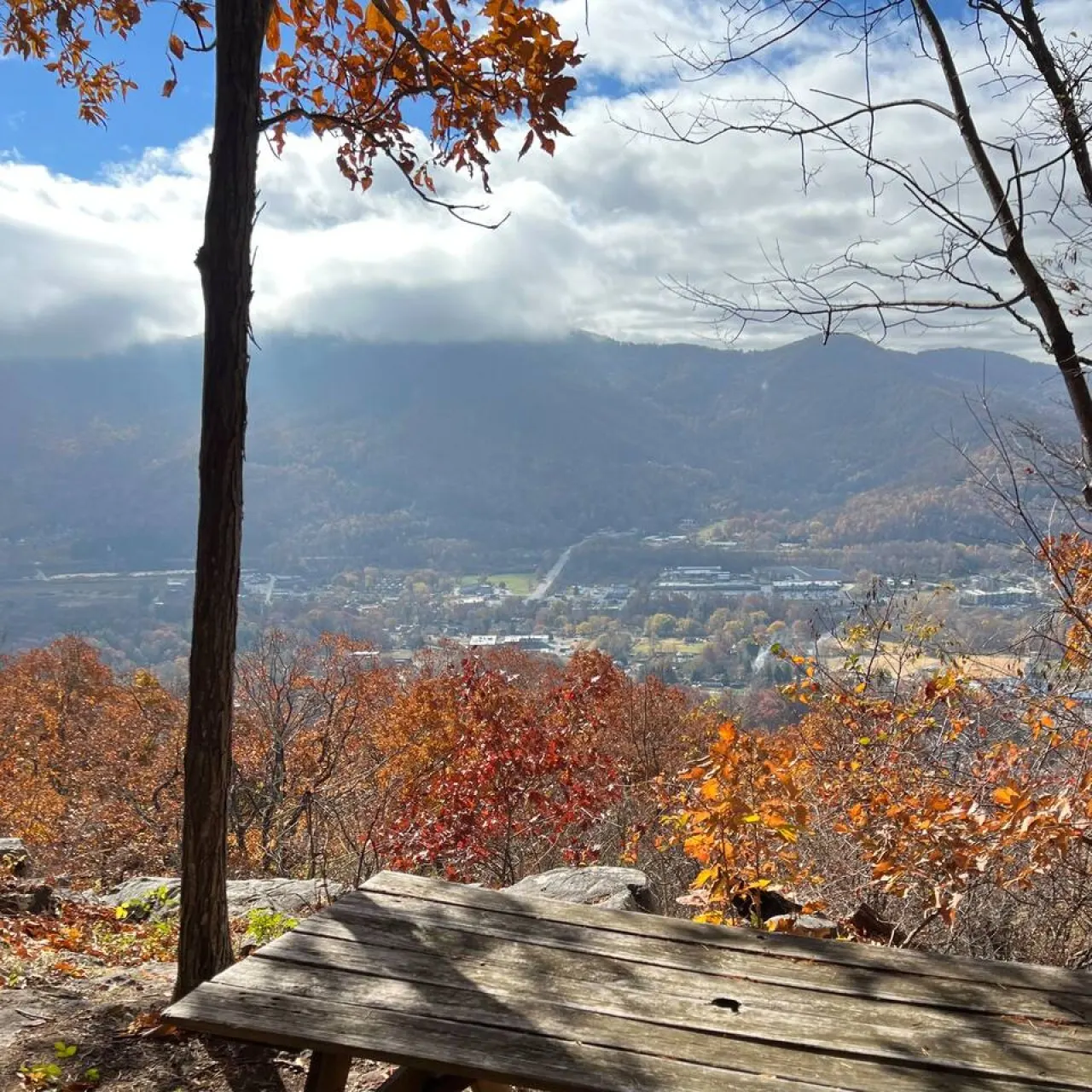 Scandinavian Retreat w/ Mtn View & 20 Min to AVL — photo 2