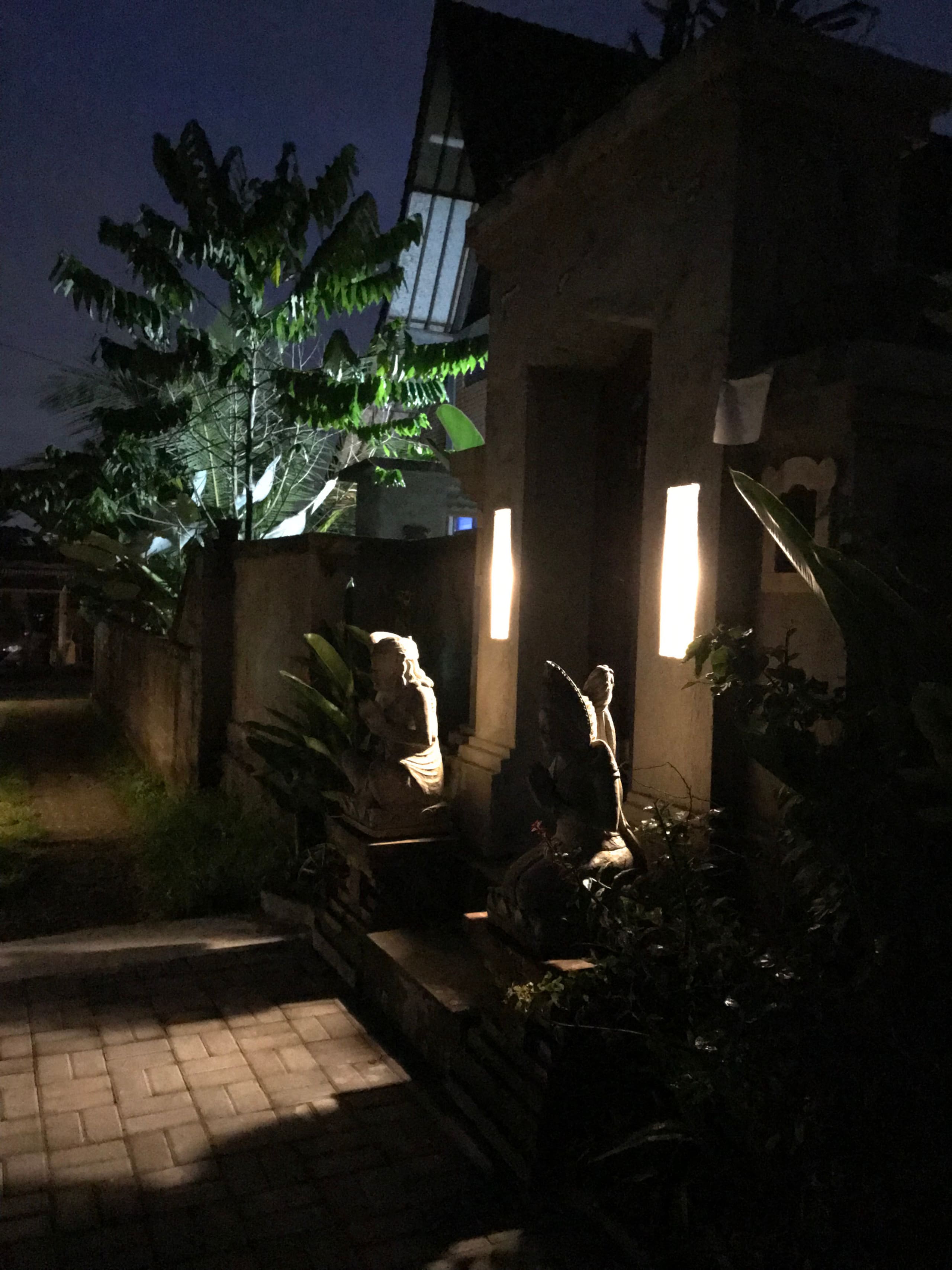 The Lili Garden 12