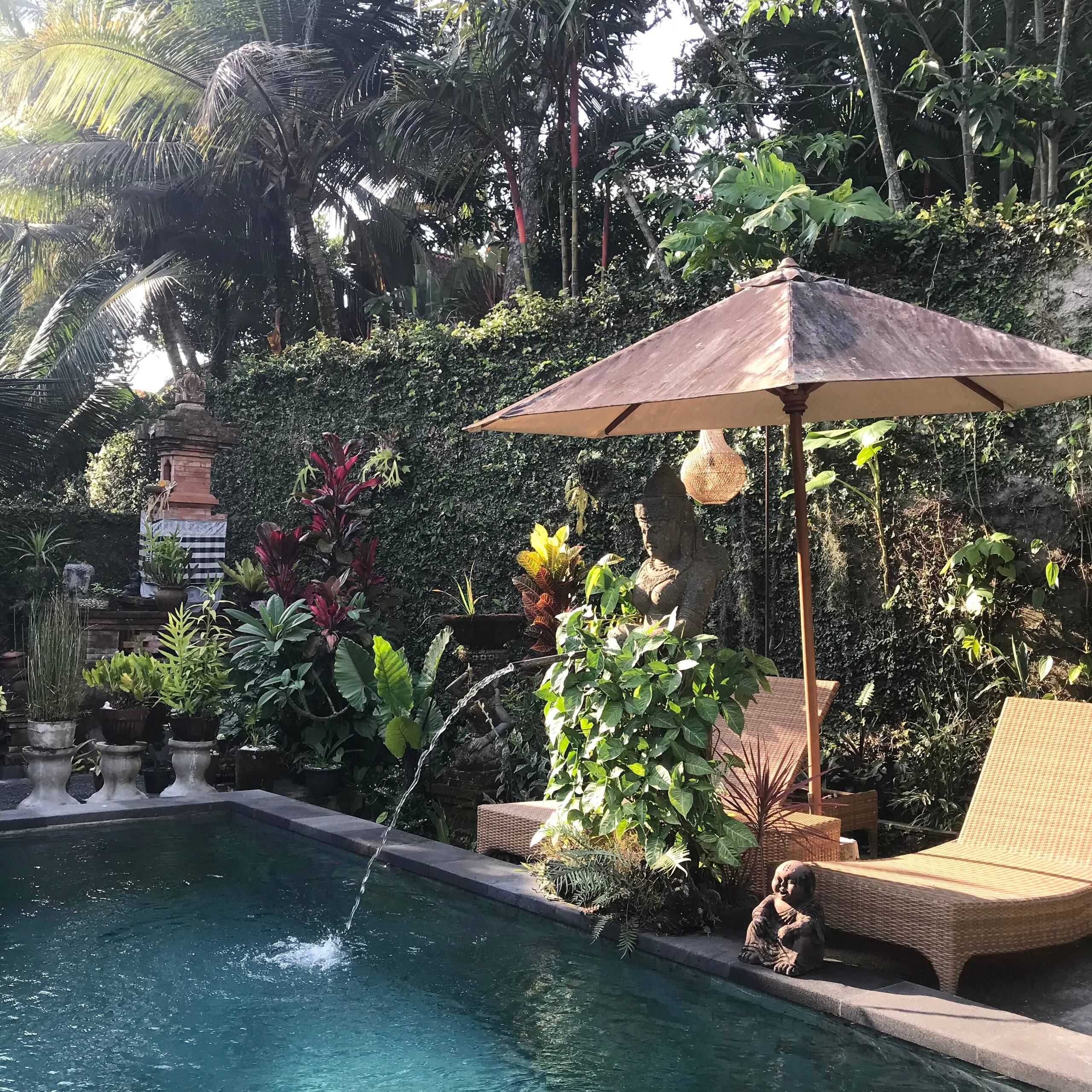The Lili Garden 21