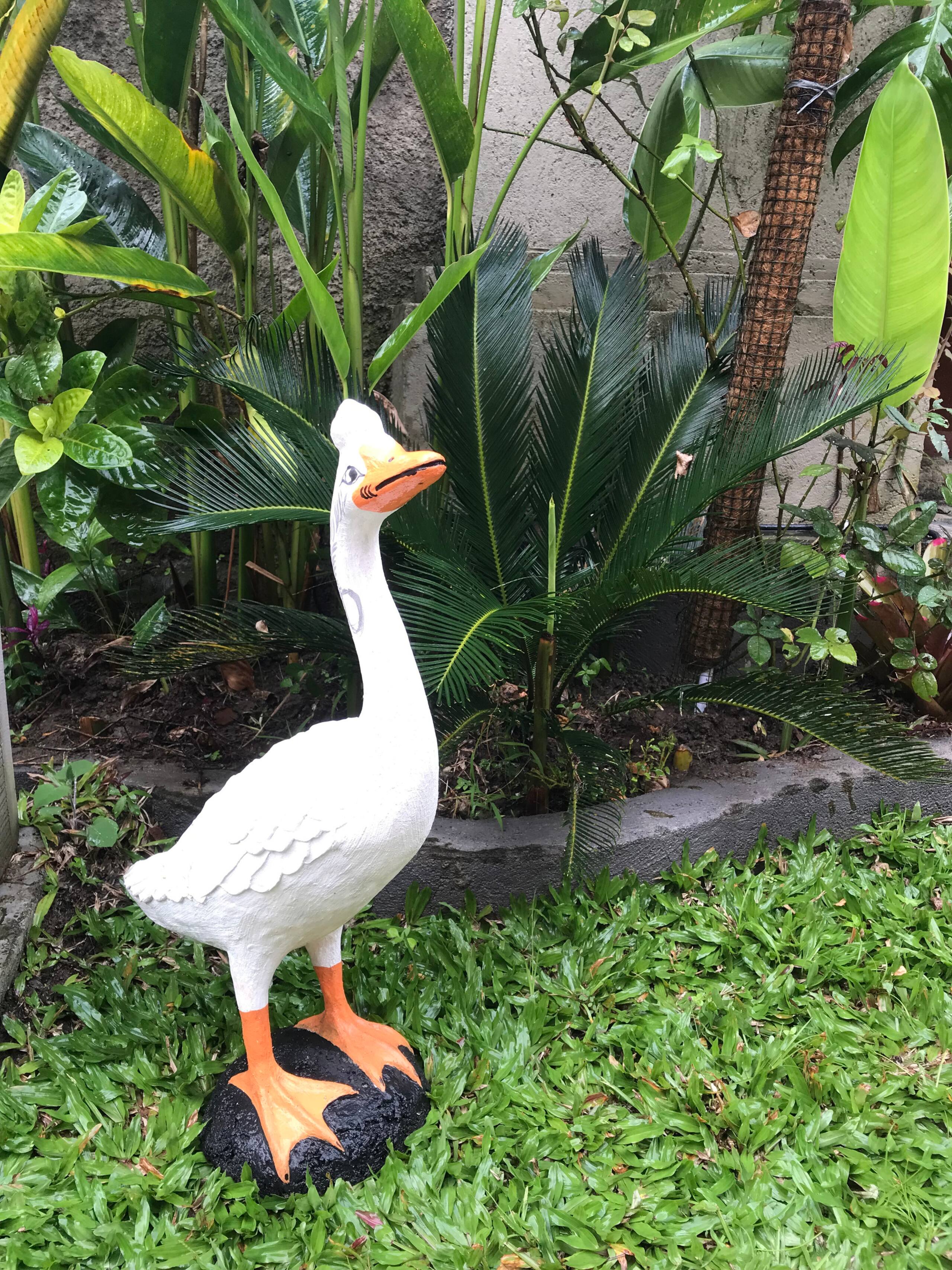The Lili Garden 30