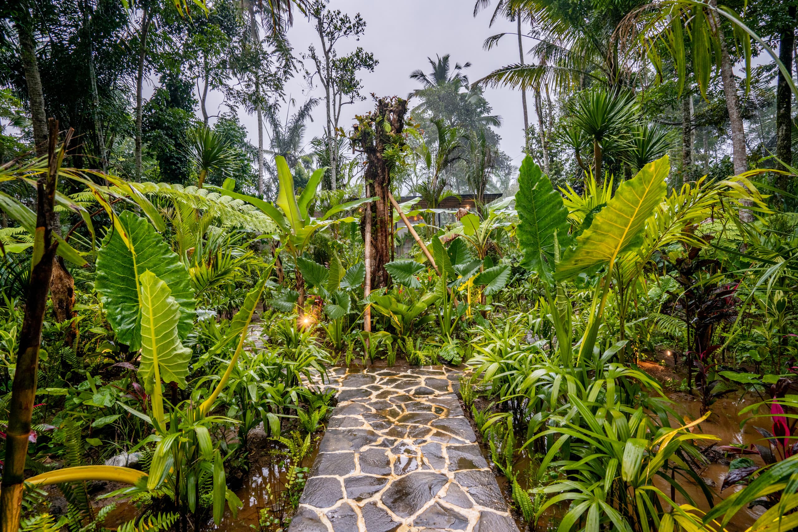 Wooden Villa with Private Pool and Jungle View #3 34