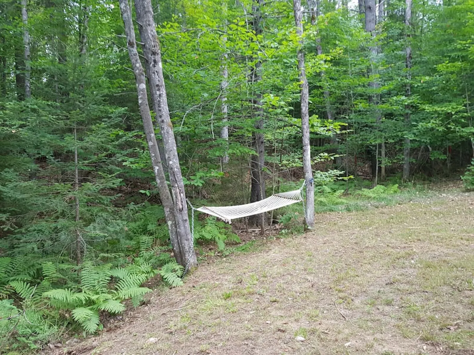 Cozy Log Cabin - Glamping close to Bethel Center 4