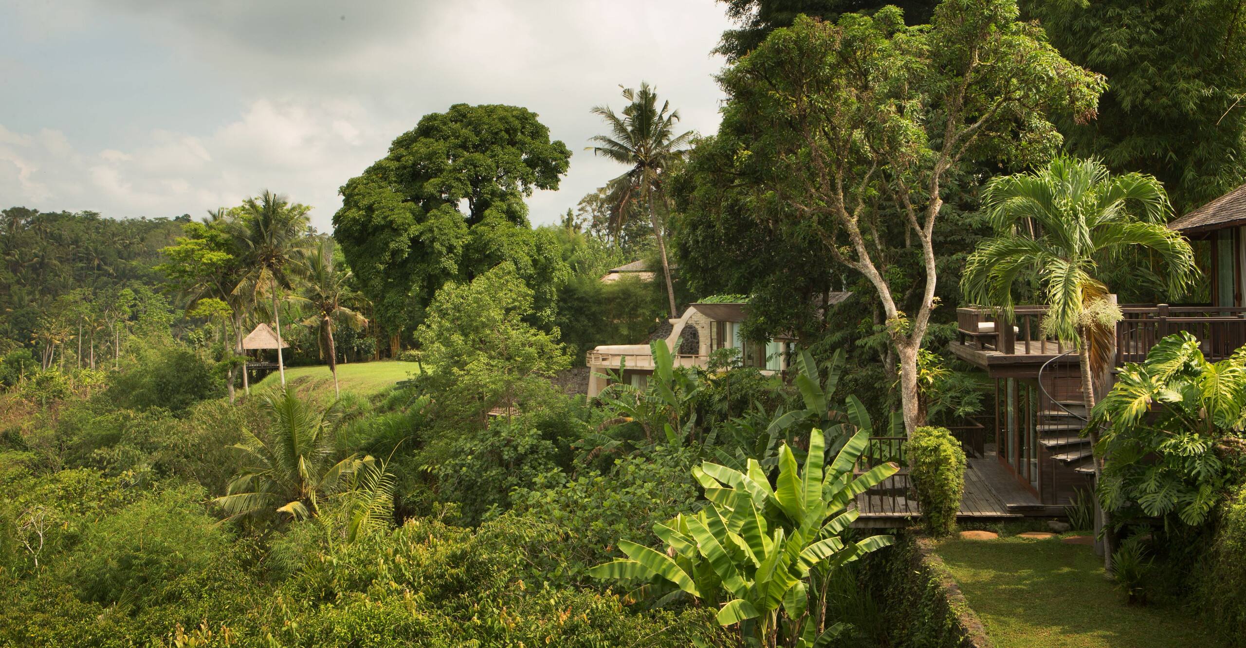 Your Dream Wedding Destination 6