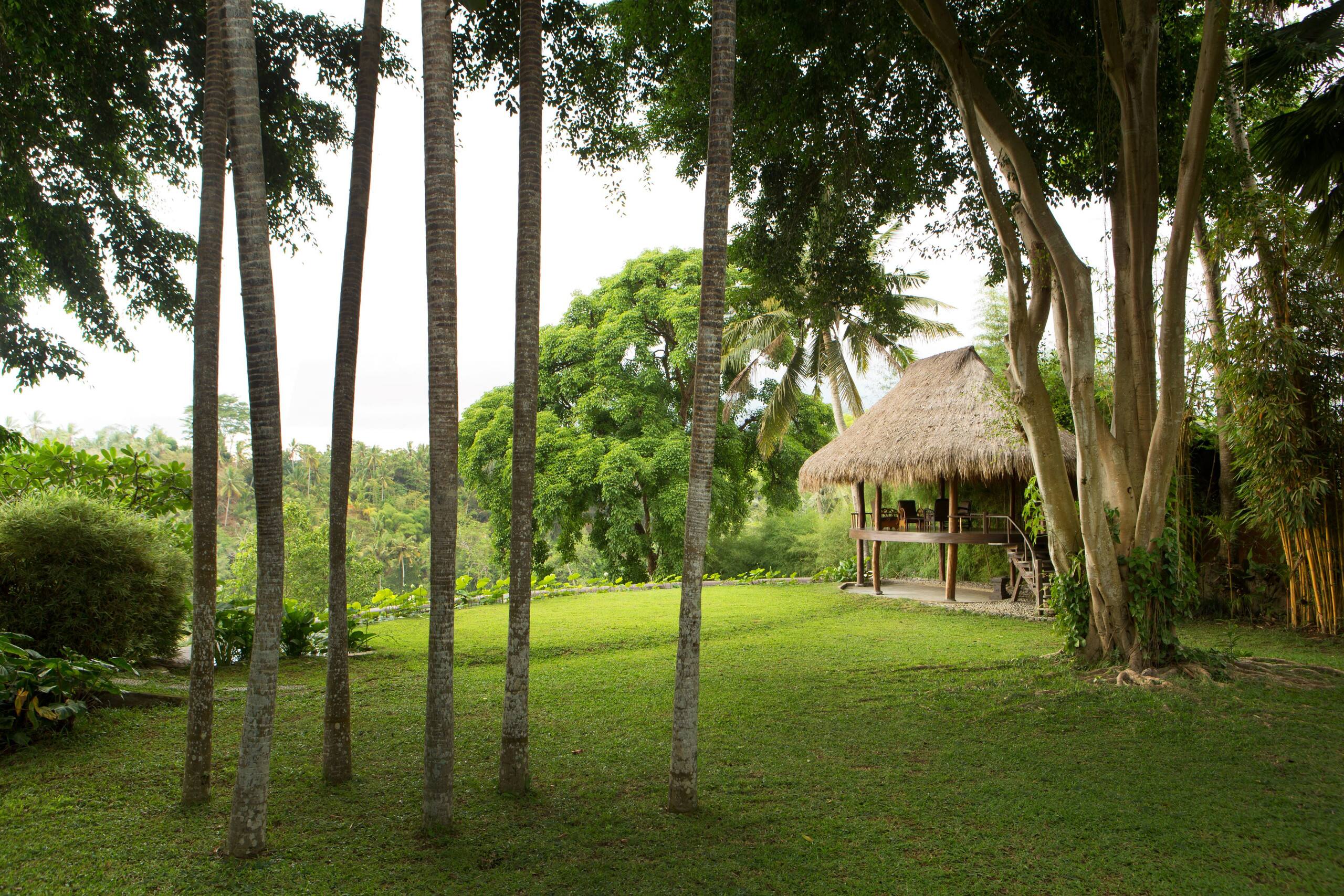 Your Dream Wedding Destination — photo 3
