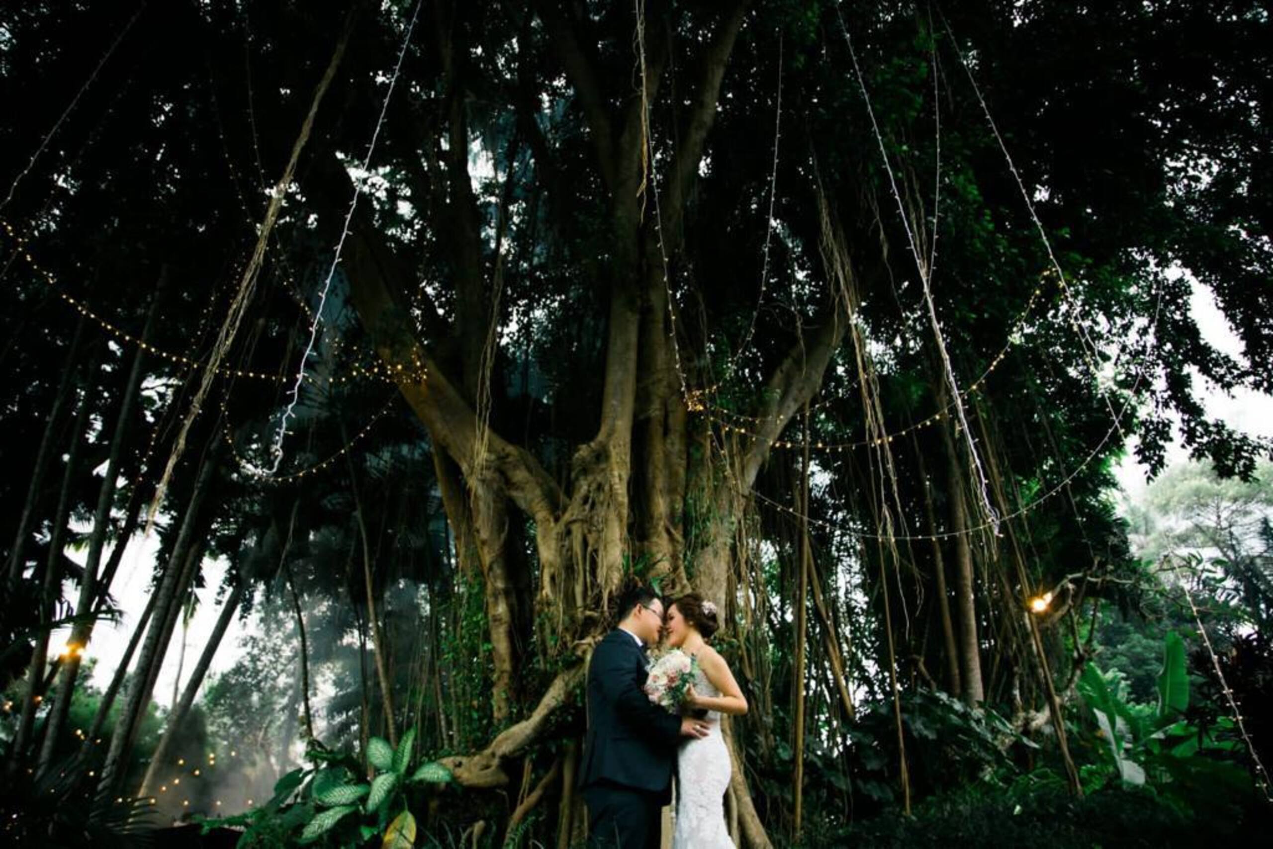Your Dream Wedding Destination 8
