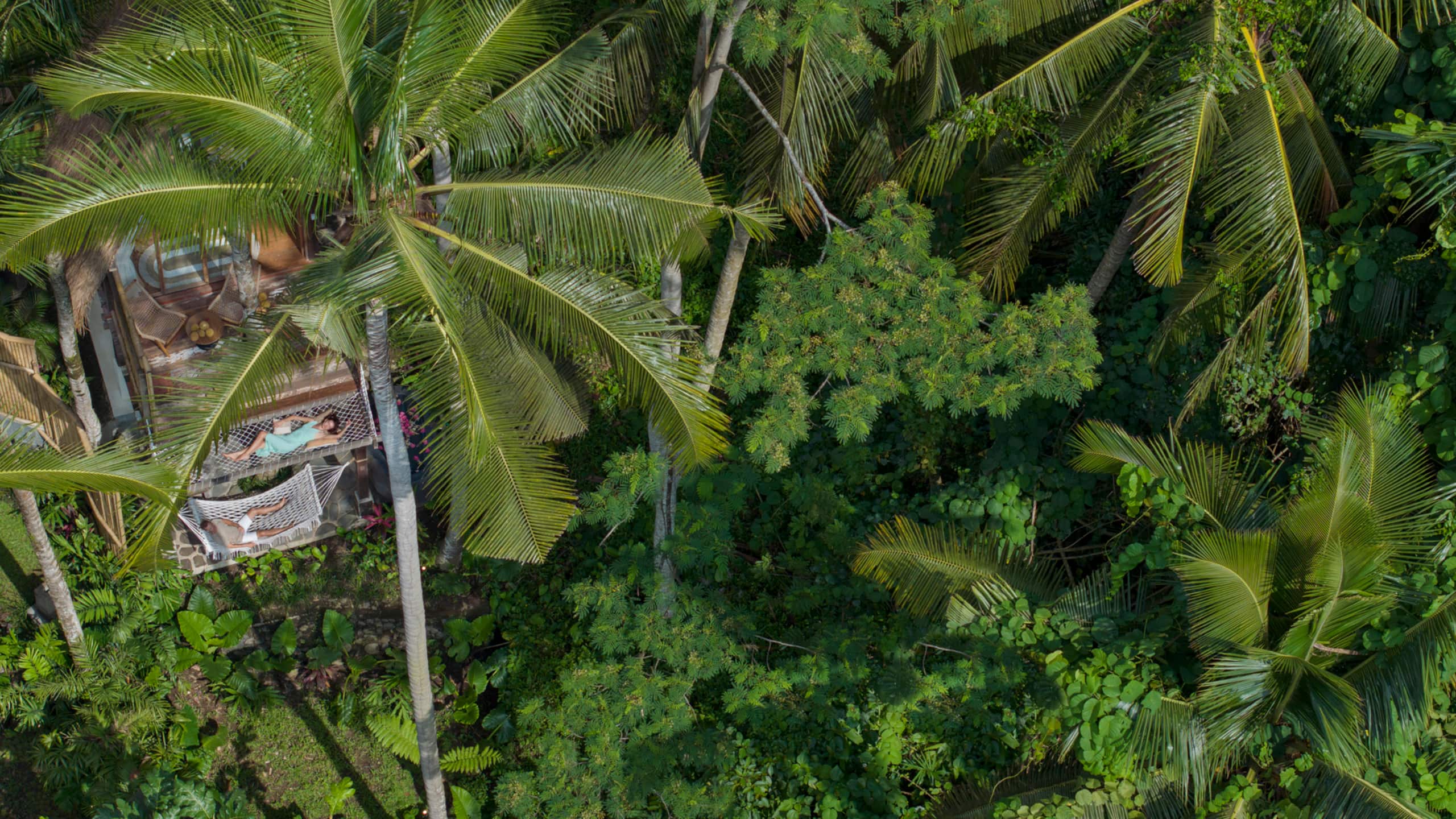 The Last Paradise – Lost in the Jungle Villa — photo 5