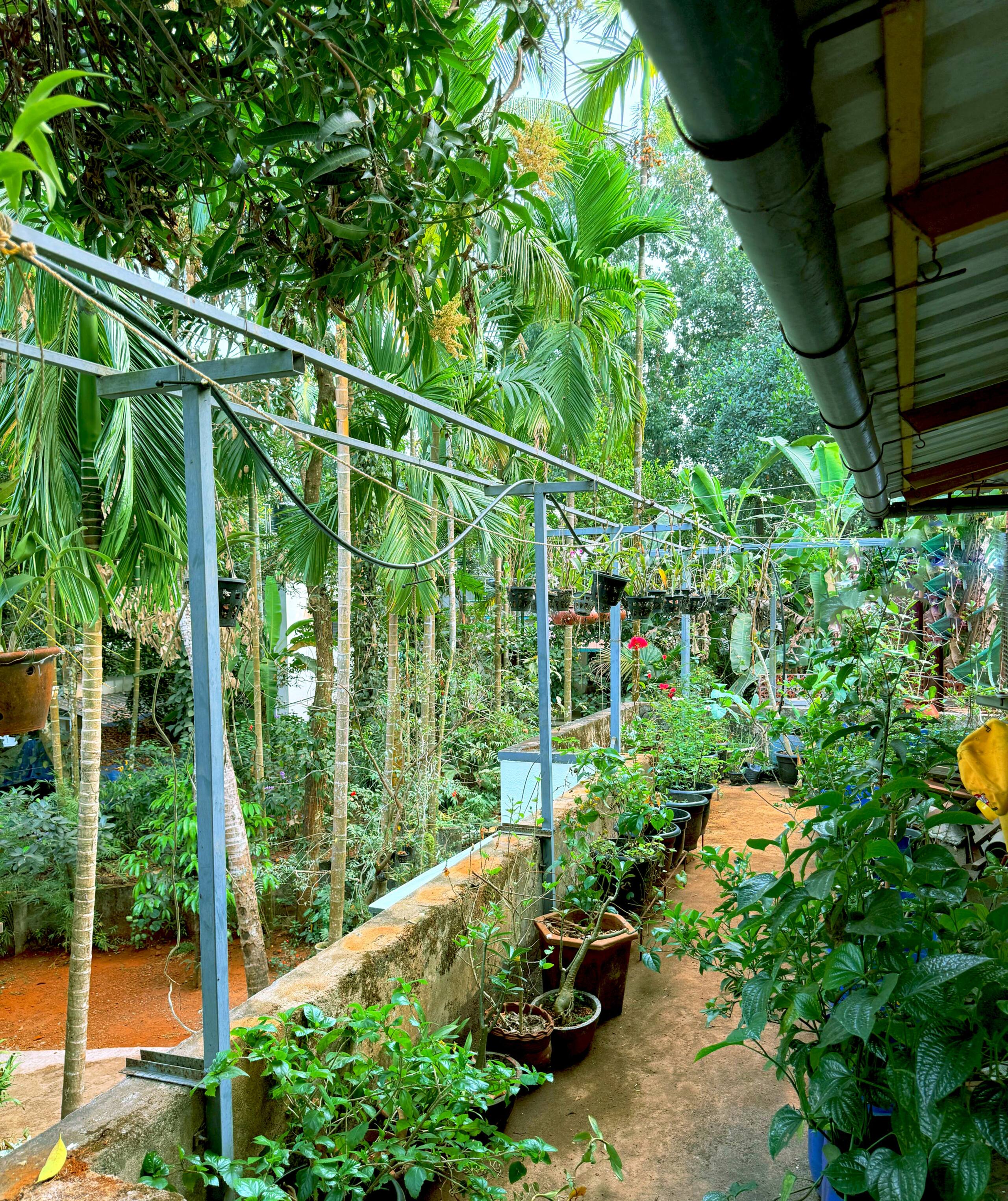 Avocado Homestay (AC) 10