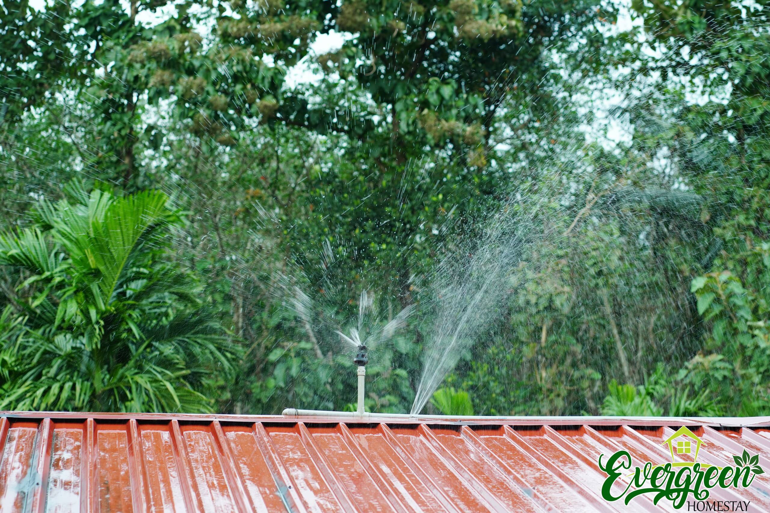 Evergreen Farms Siribail - Come home to nature 15