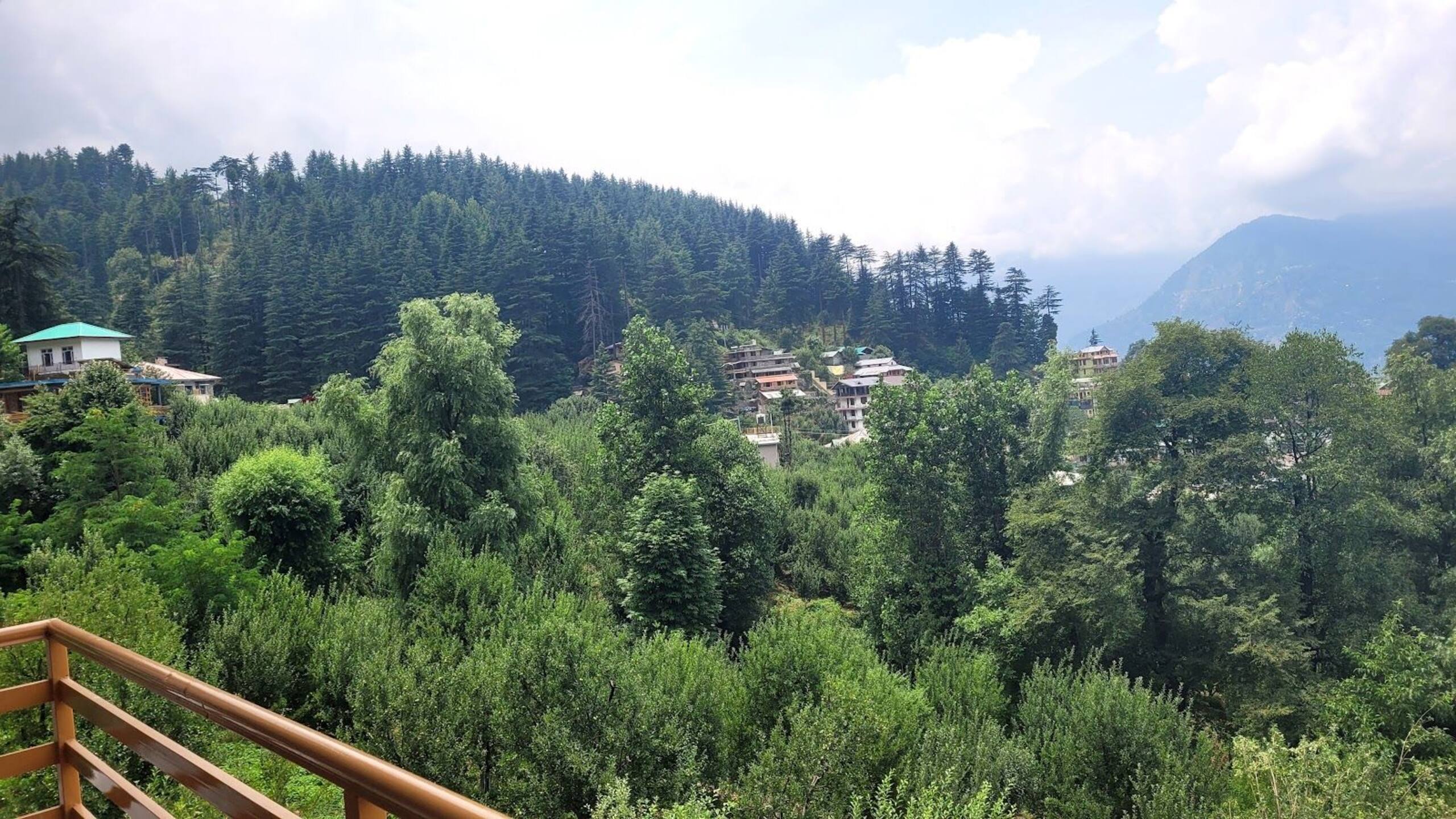 Orchard Homestay near Roerich Gallery, HP — photo 4