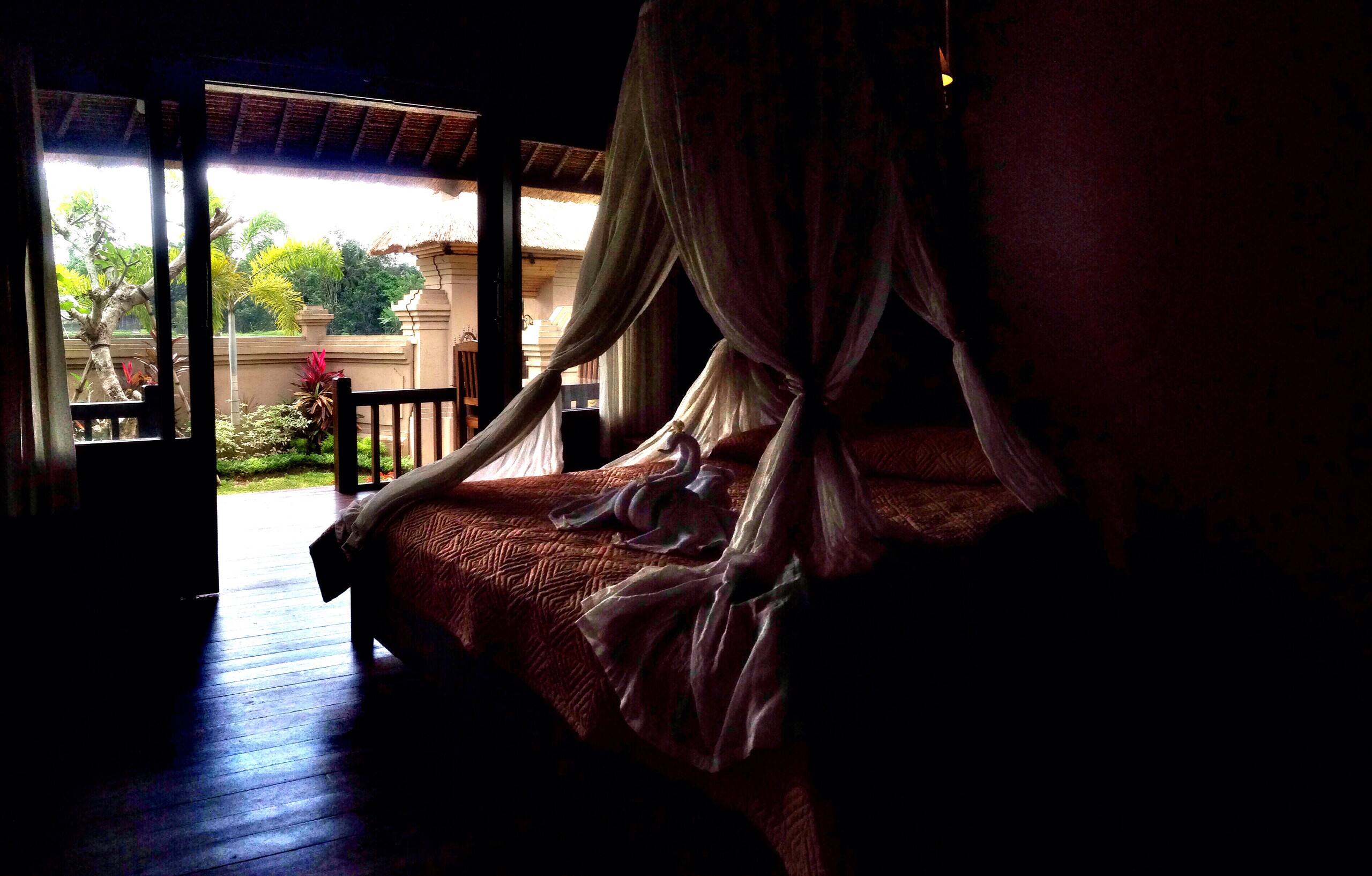 Pande House among rice field private Pool — photo 5
