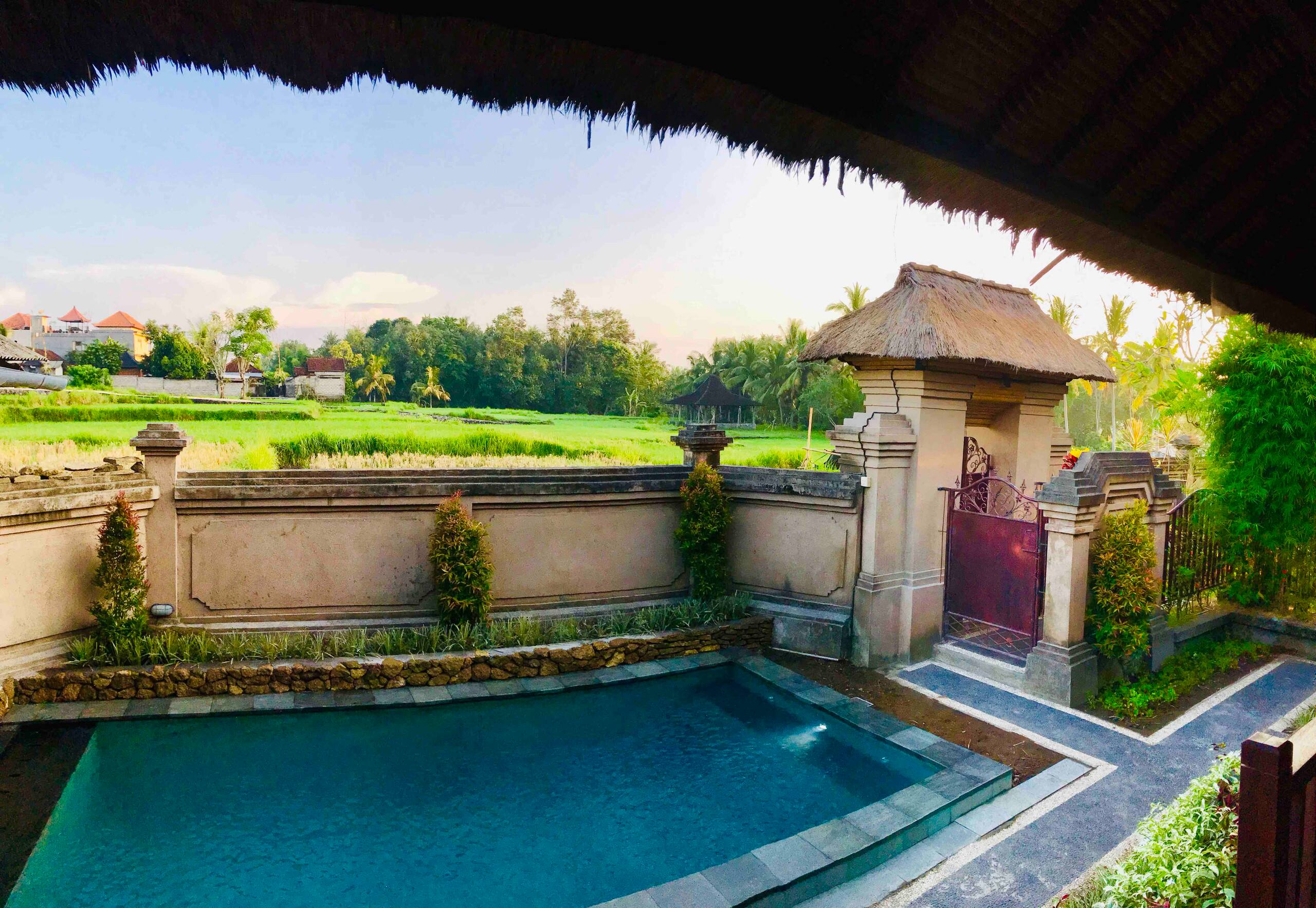 Pande House among rice field private Pool — photo 4