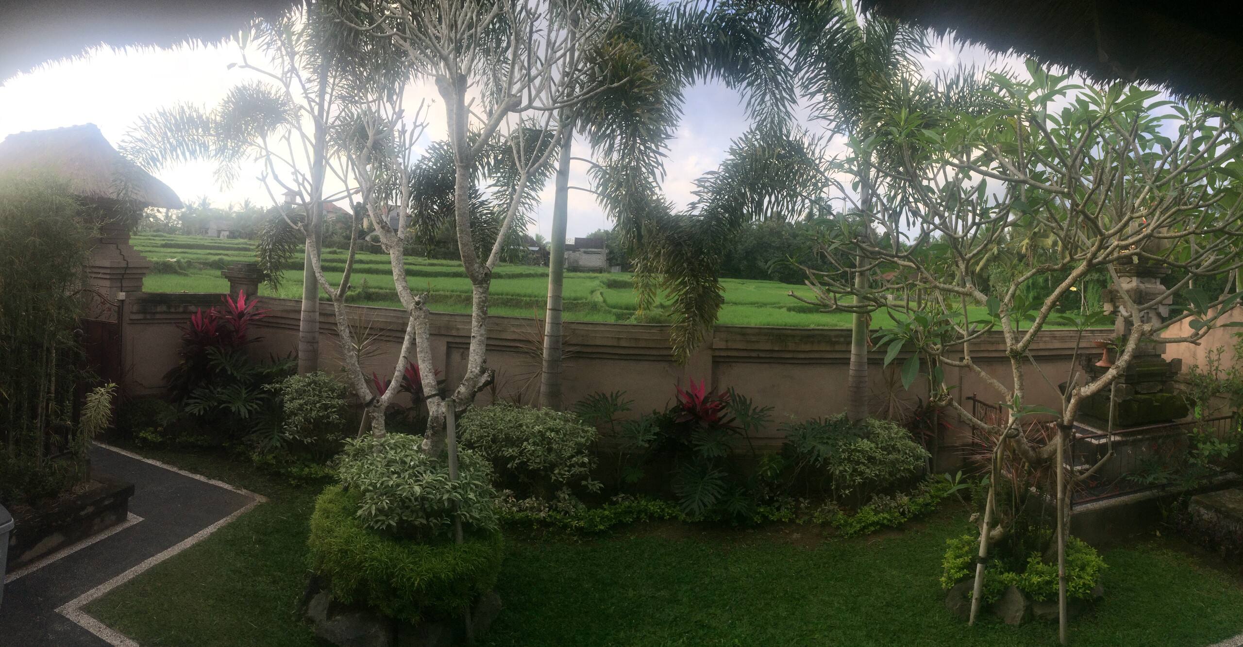 Pande House among rice field private Pool 19