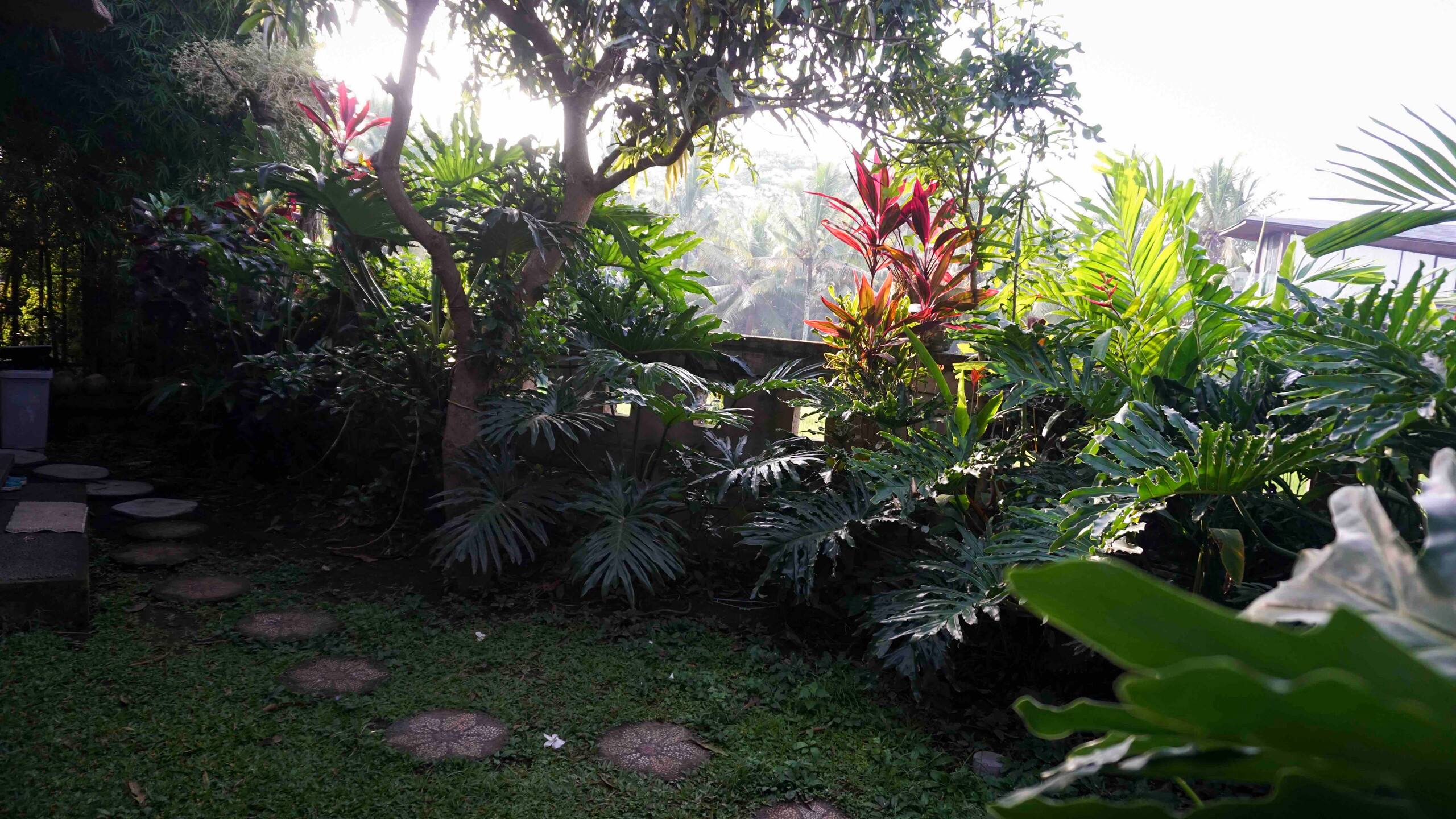 Pande House among rice field private Pool 36