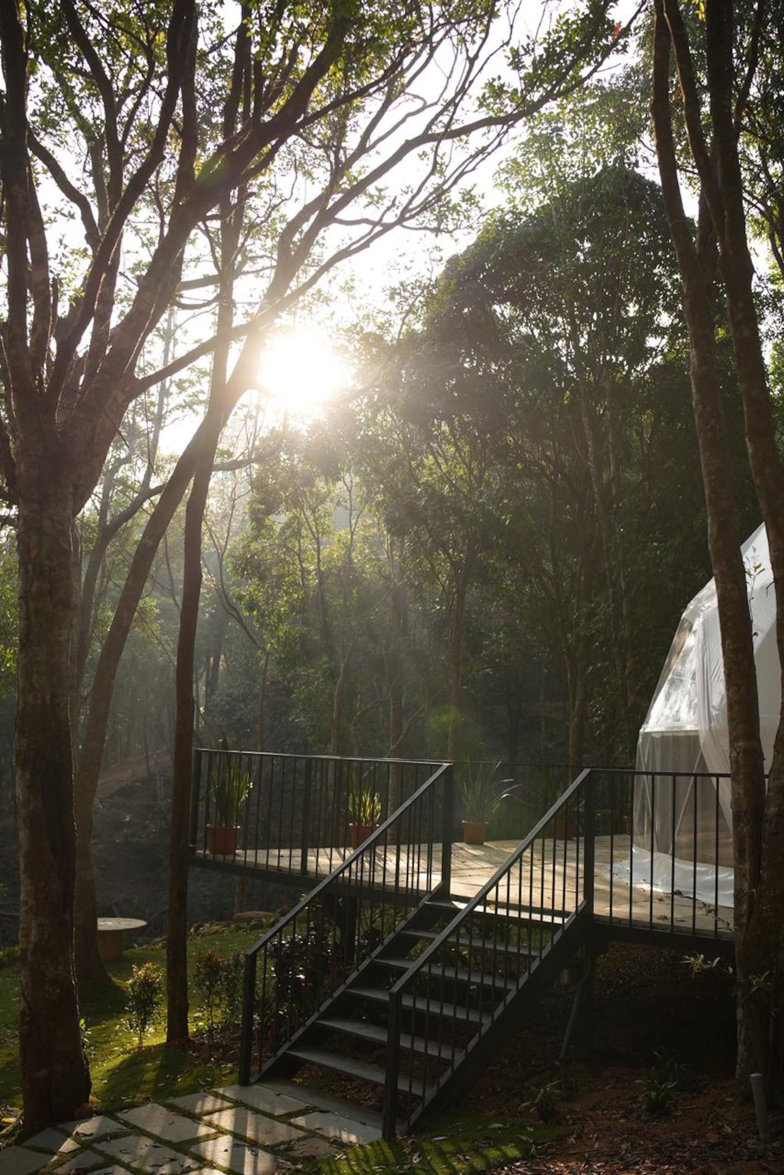 Private Forest Dome Retreat | Pool & Nature Trails — photo 4