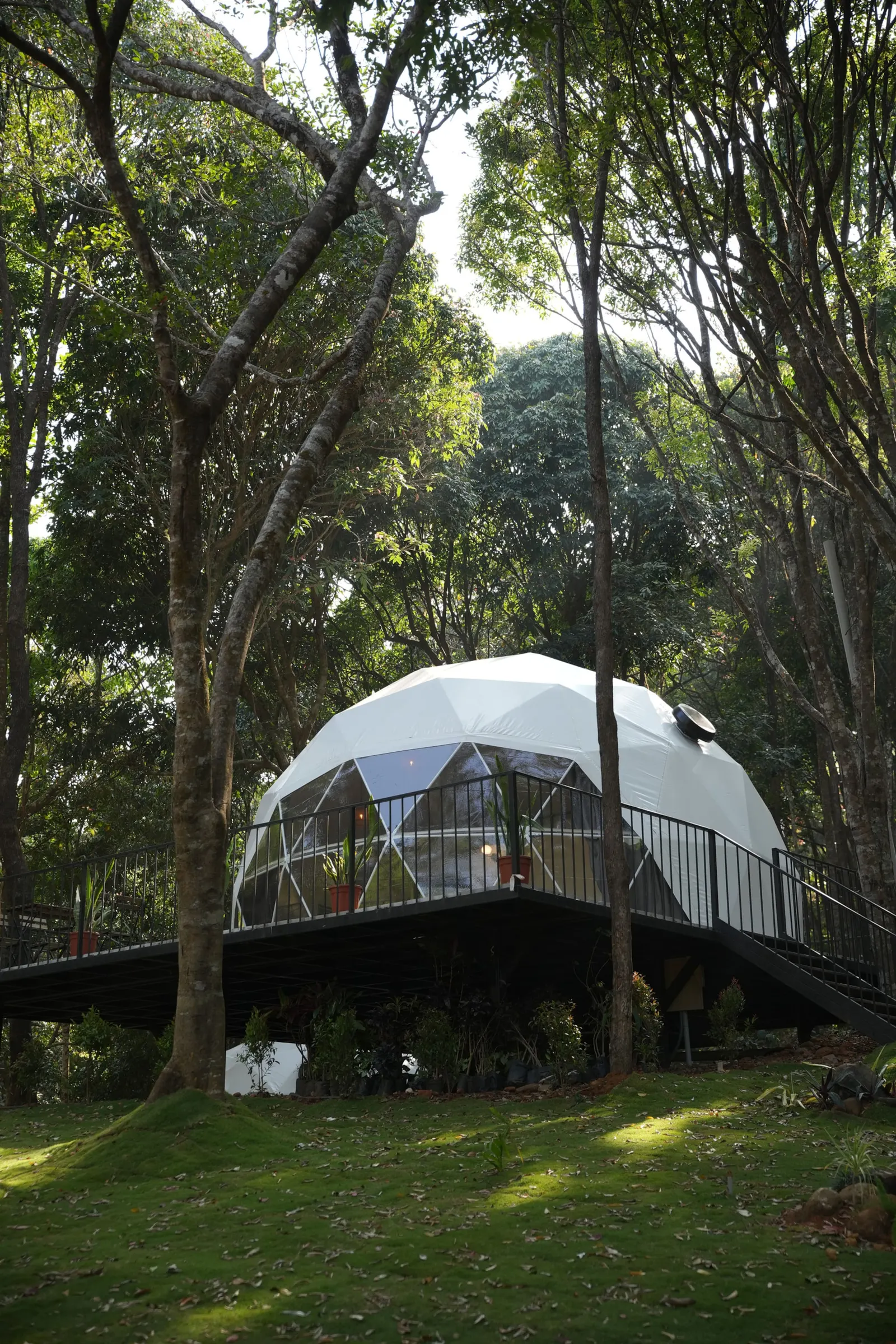 Private Forest Dome Retreat Pool & Nature Trails 1