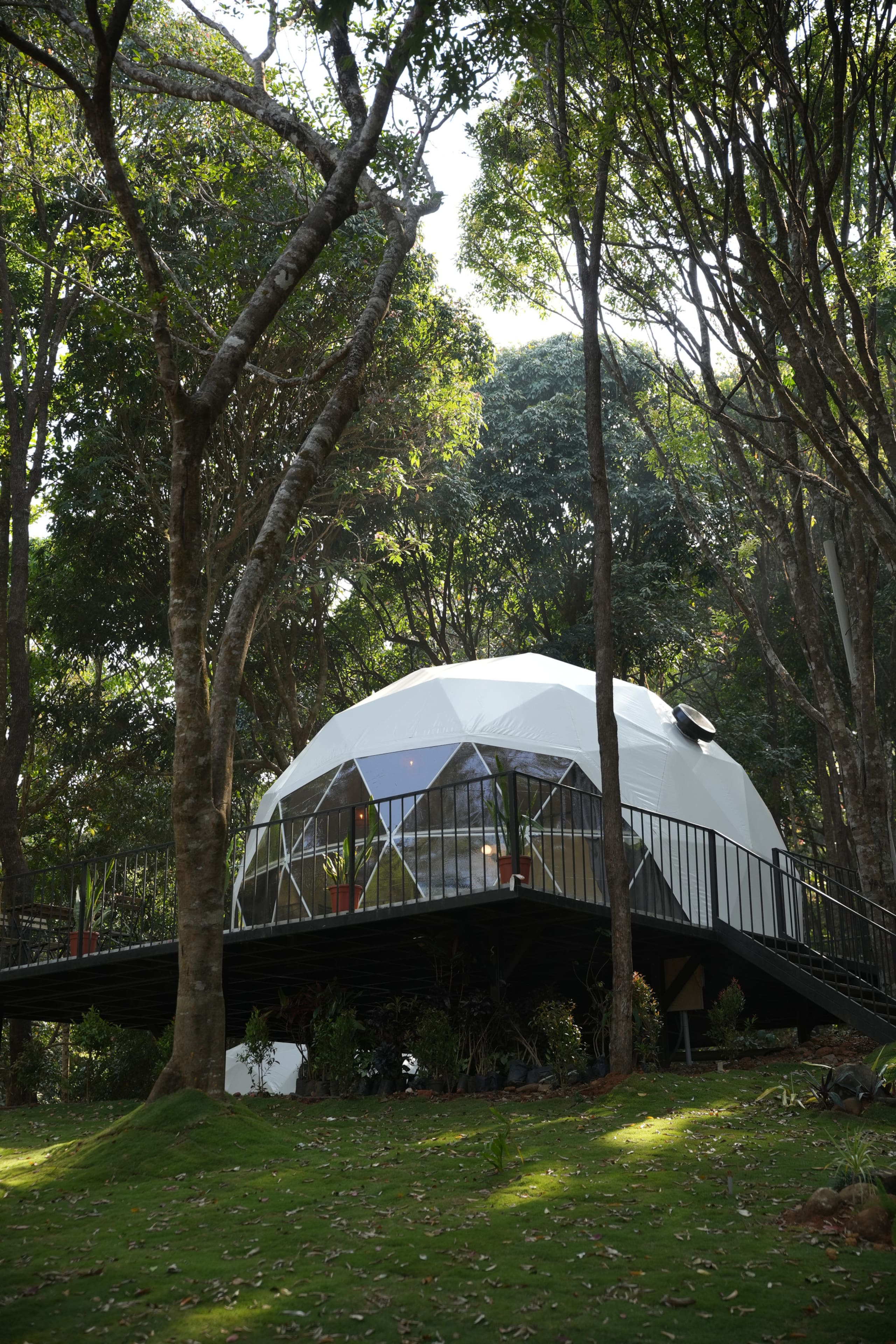 Private Forest Dome Retreat | Pool & Nature Trails