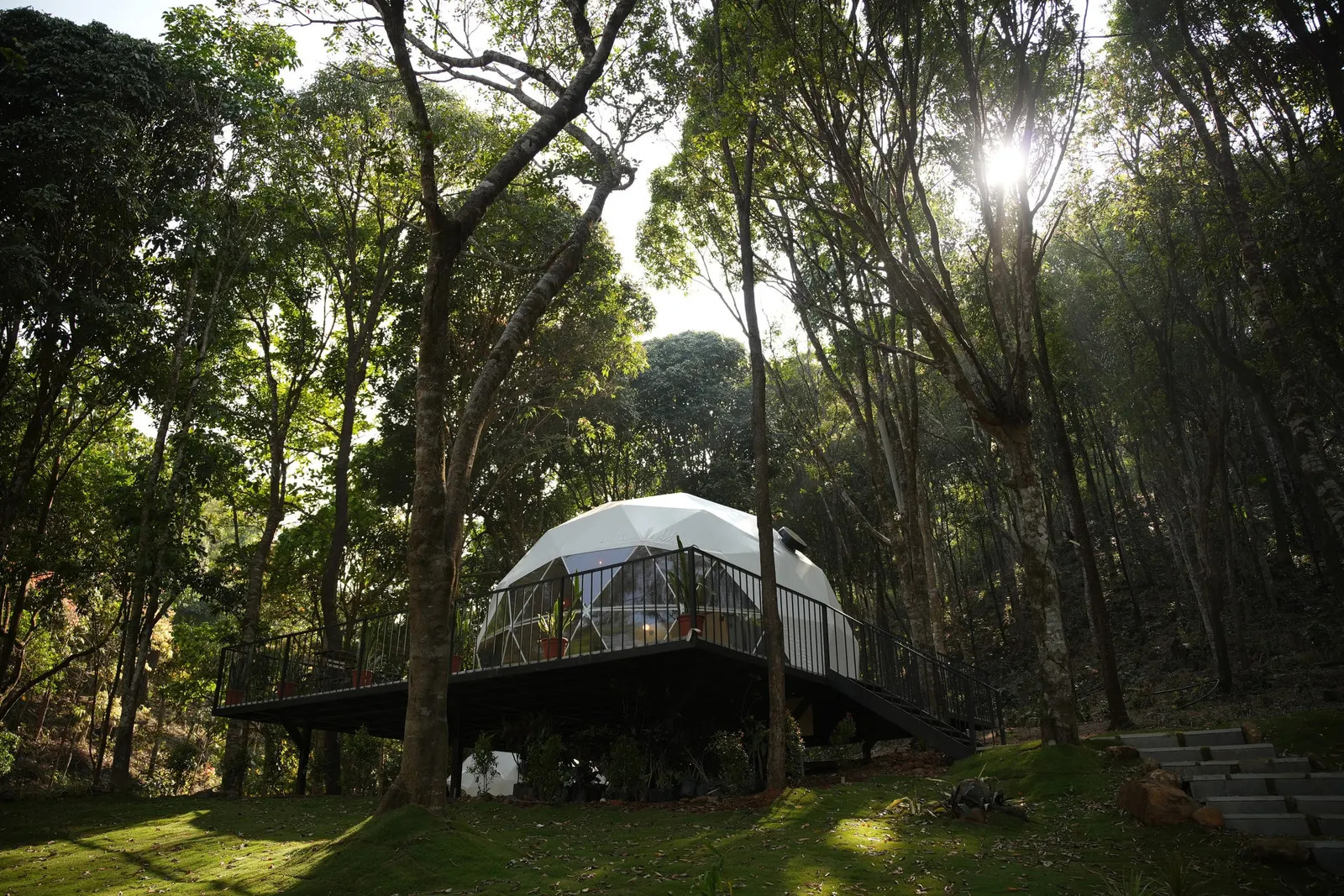 Private Forest Dome Retreat Pool & Nature Trails 12
