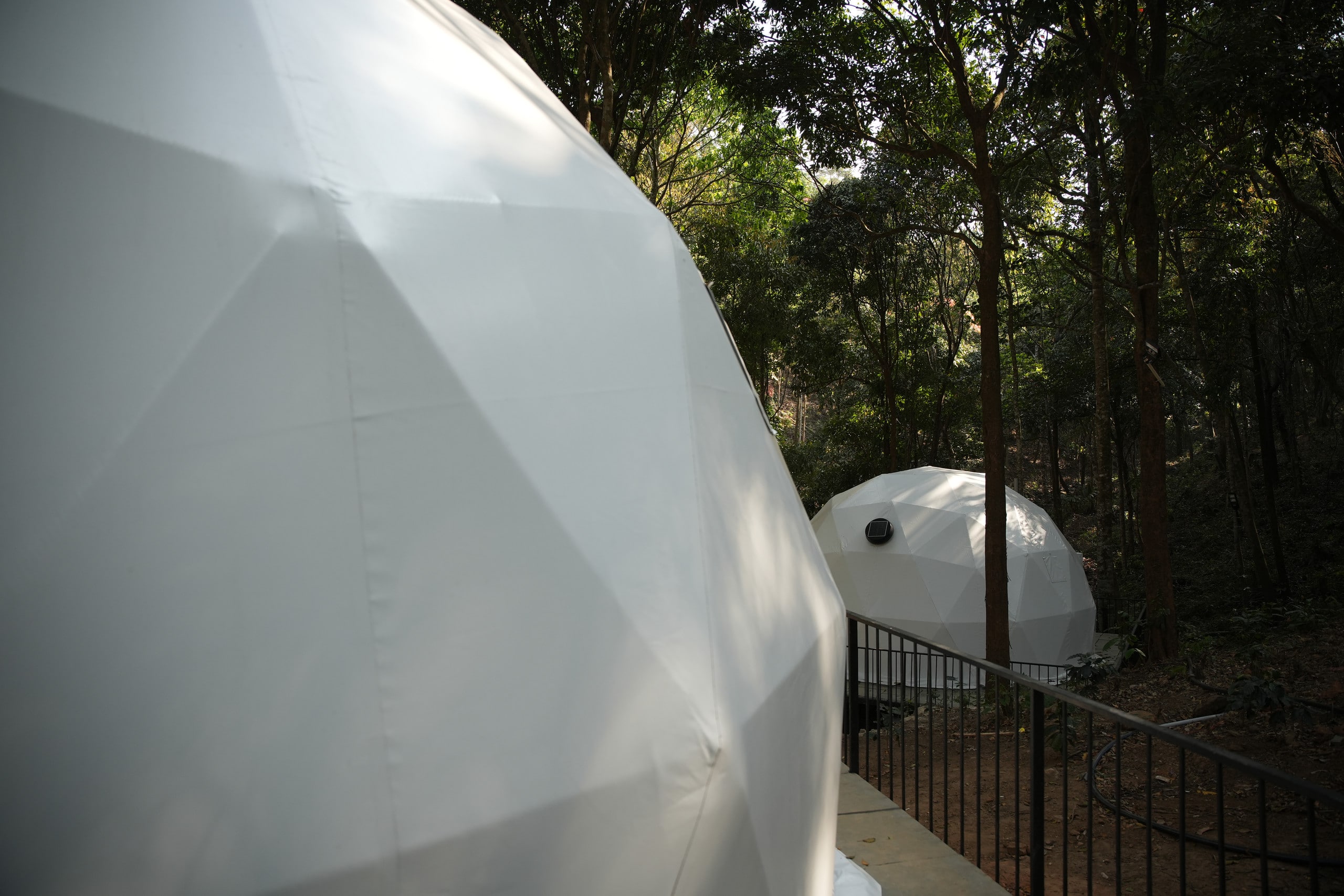 Private Forest Dome Retreat Pool & Nature Trails 11