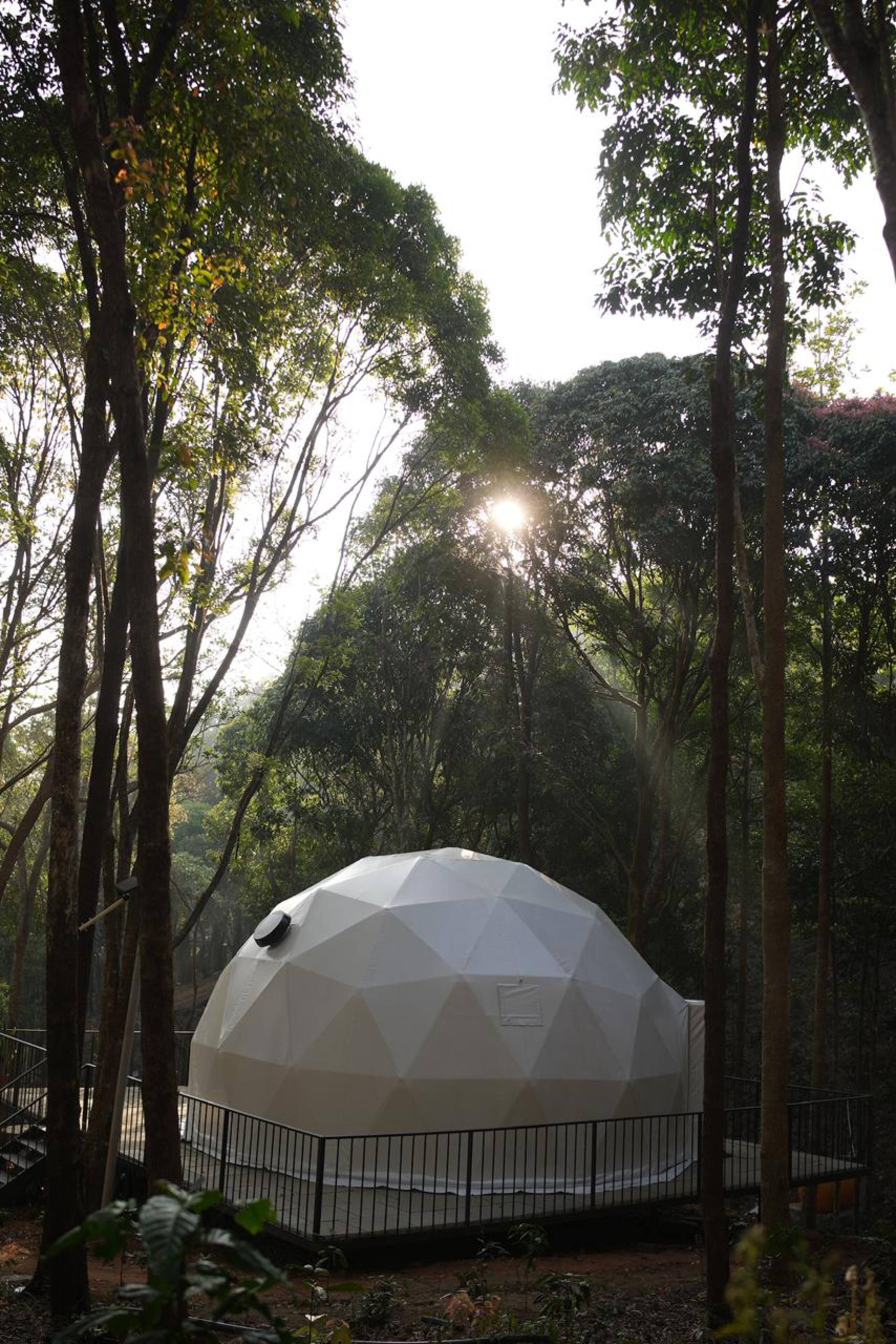 Private Forest Dome Retreat Pool & Nature Trails 7