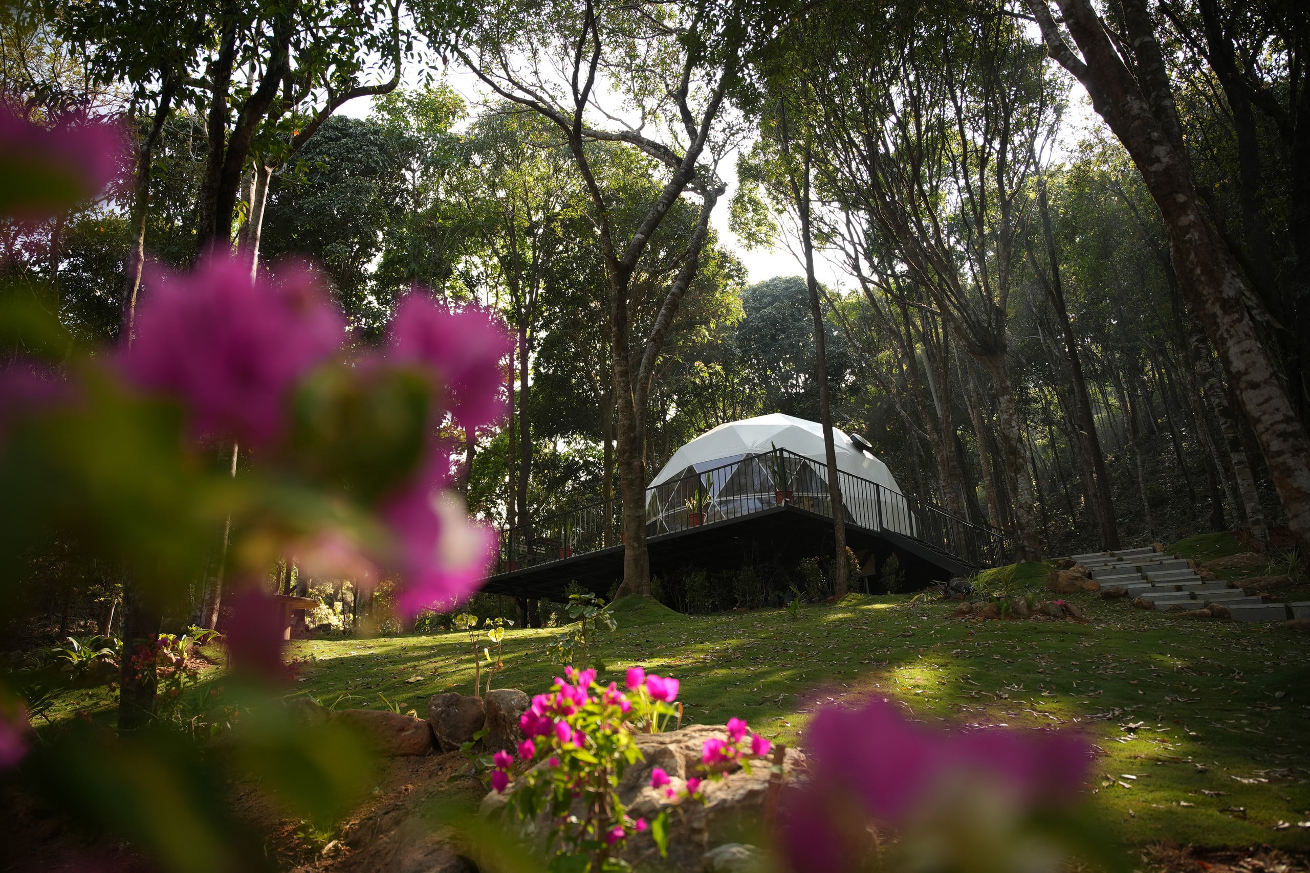 Private Forest Dome Retreat | Pool & Nature Trails — photo 5