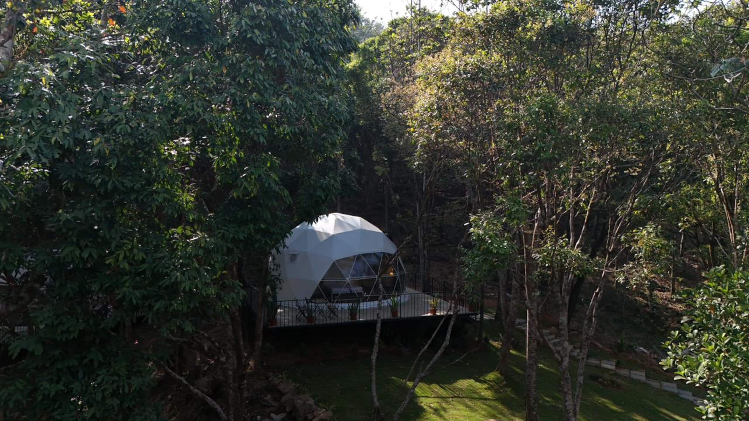 Private Forest Dome Retreat Pool & Nature Trails 8