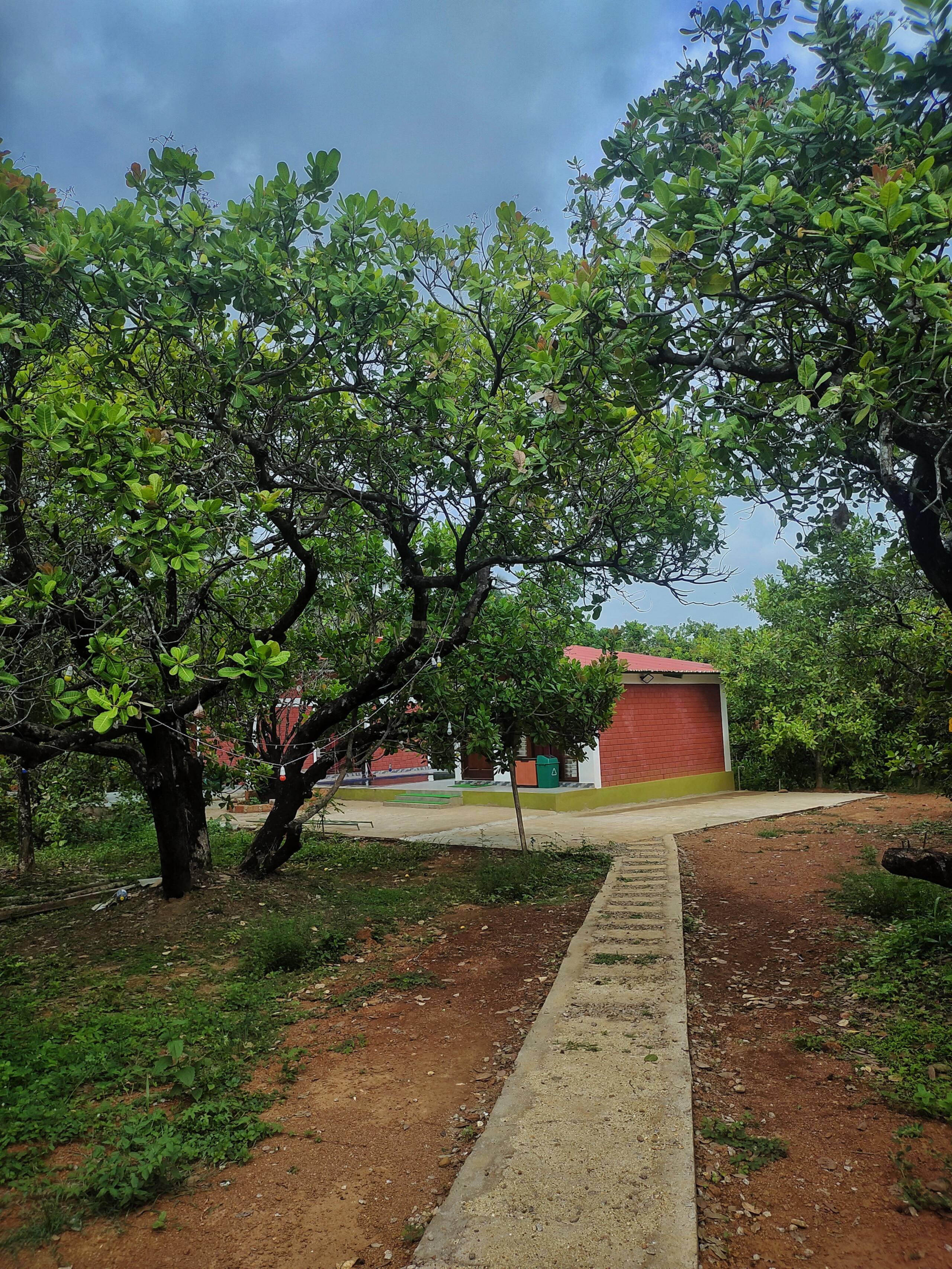 Whispering Woods Retreat & Pool -Kalavady Farmstay 19