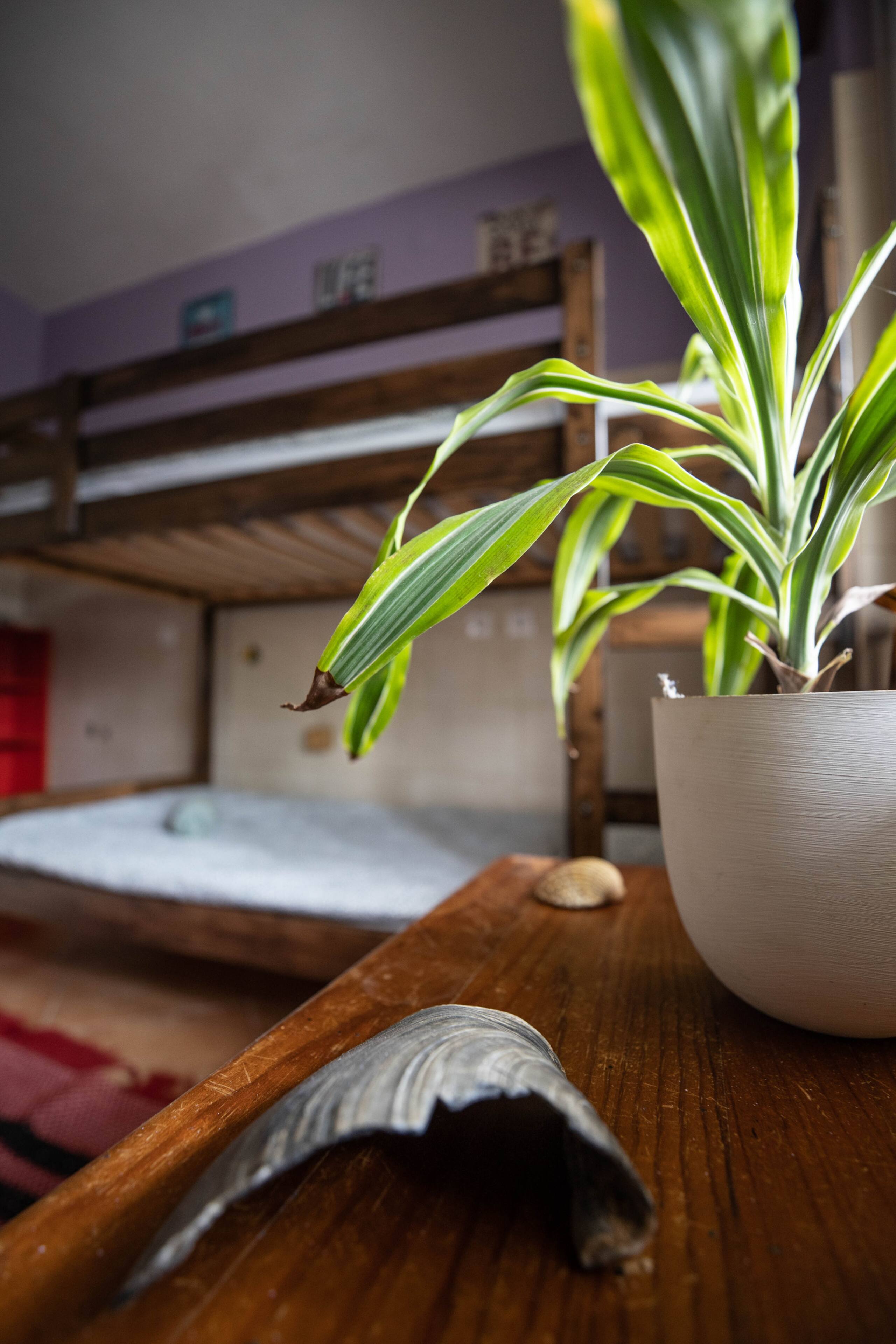 Unity Room # Natural Mystic Hostel 18