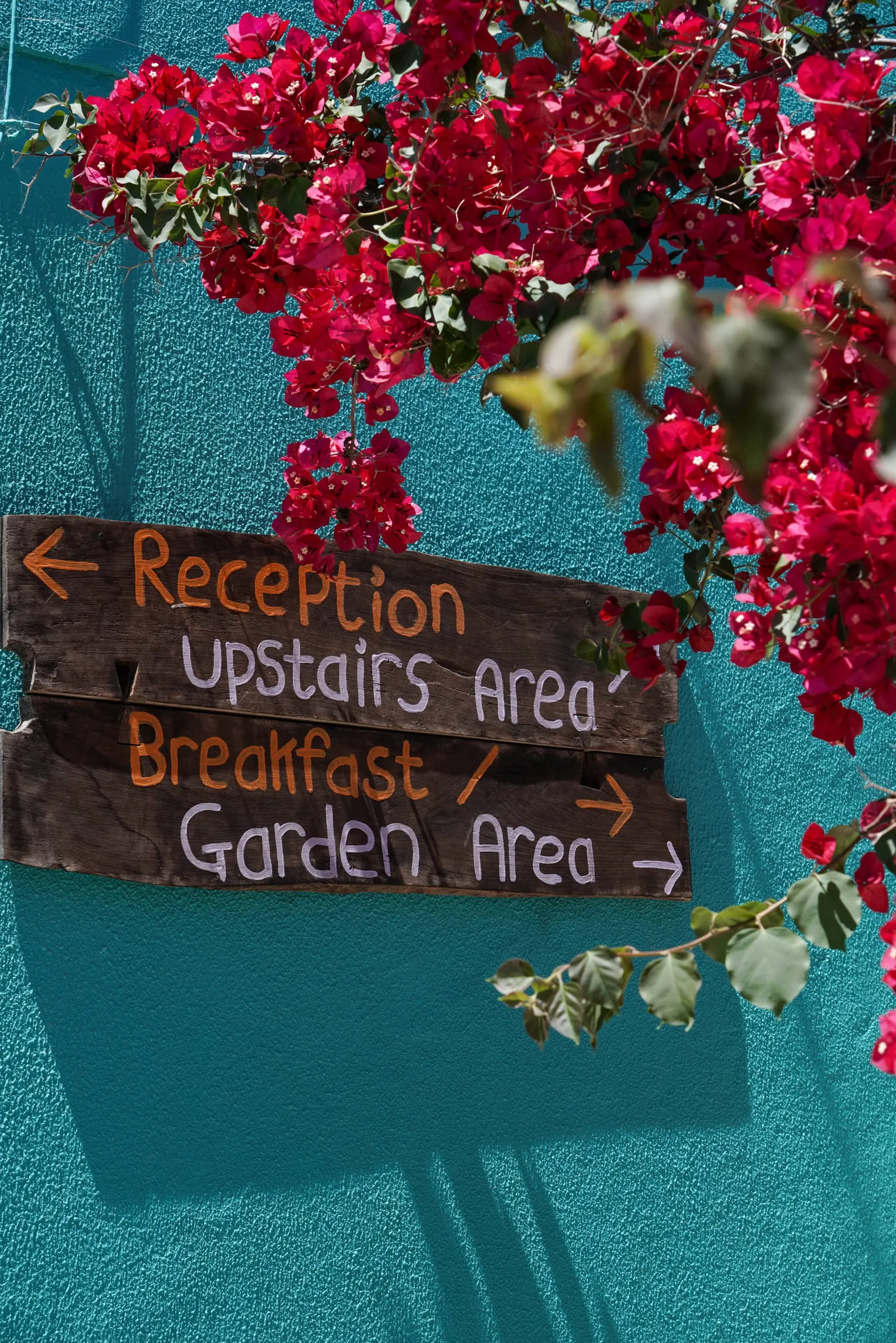 Unity Room # Natural Mystic Hostel — foto 4