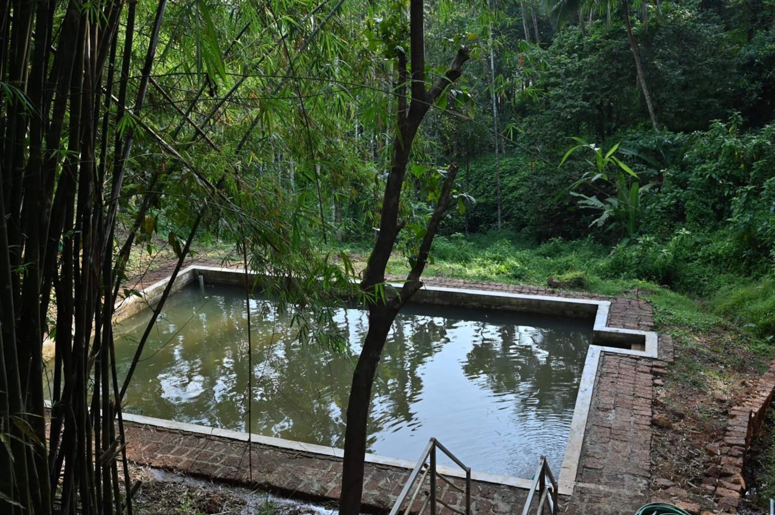 Warumala hides 3