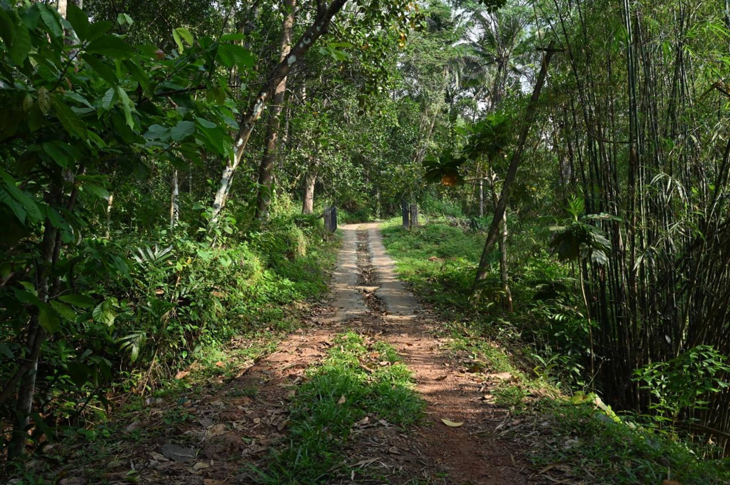 Warumala hides 4