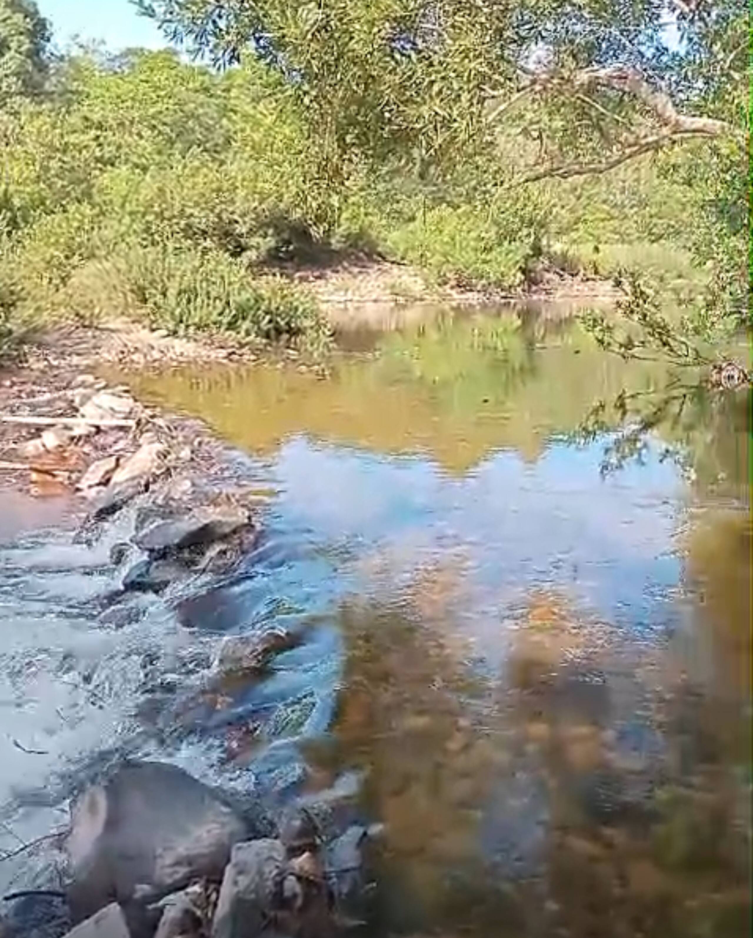 Warumala hides 16