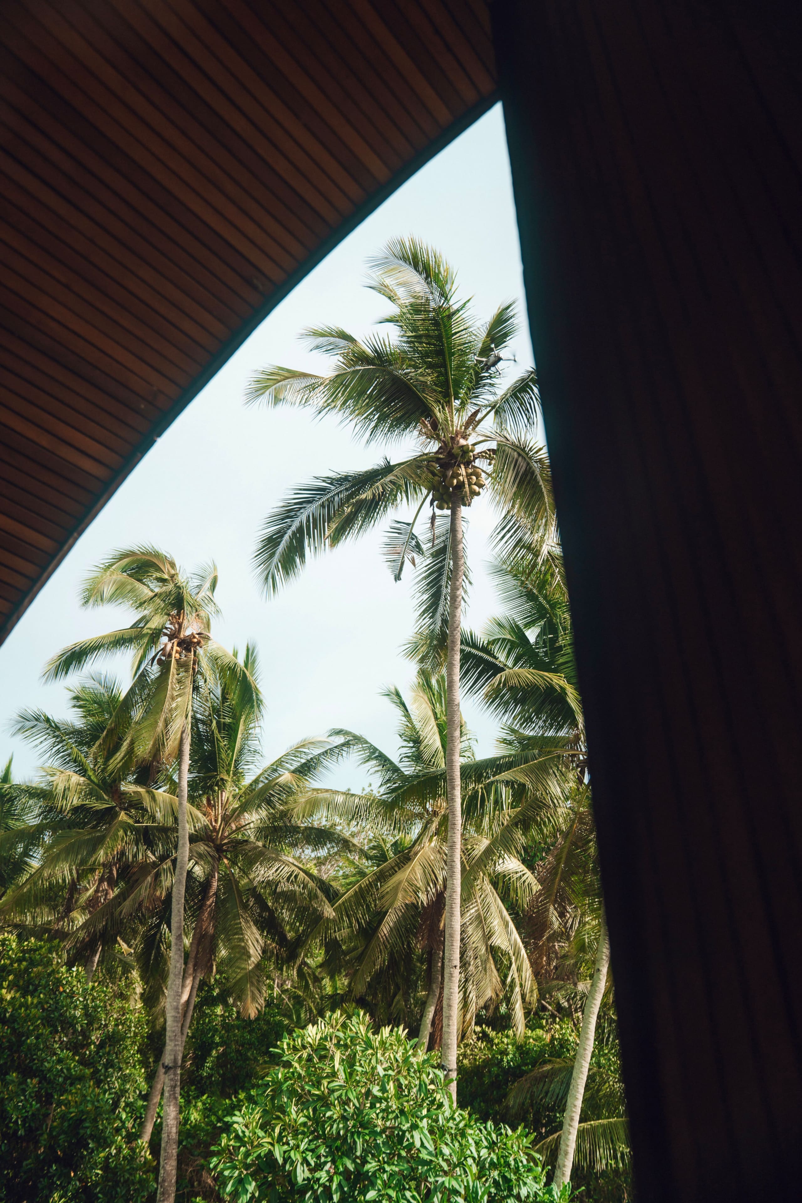 ALPHA HOUSE– Design villa w full concierge service 39