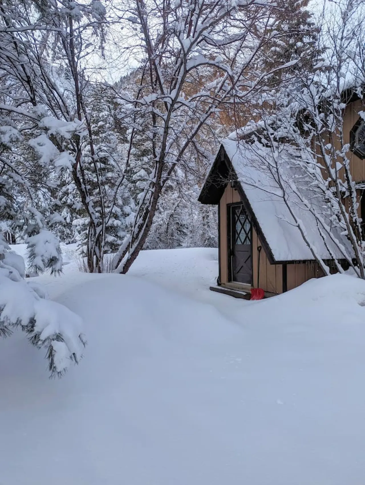 Cabin on Big Cottonwood River 15
