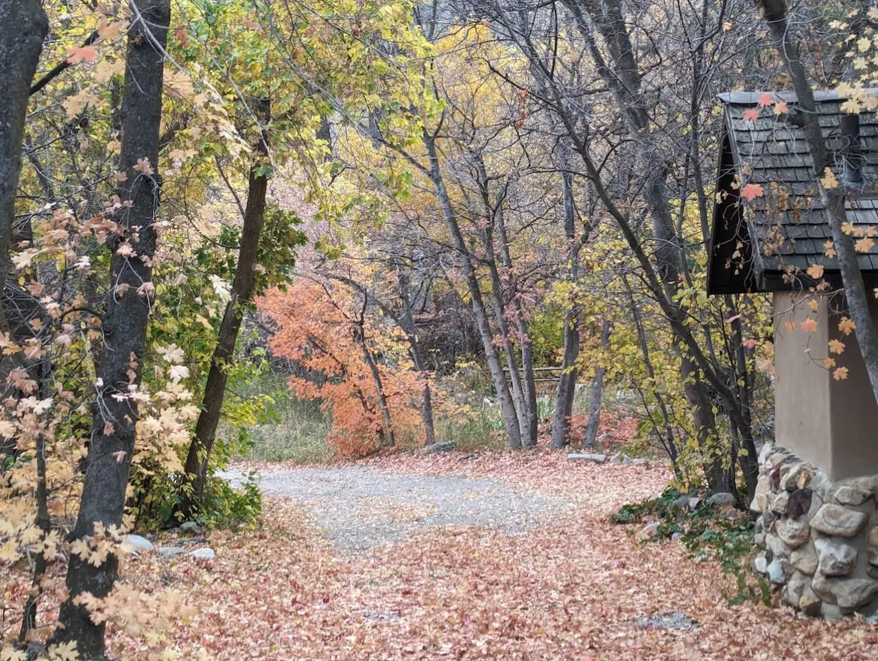 Cabin on Big Cottonwood River — photo 4