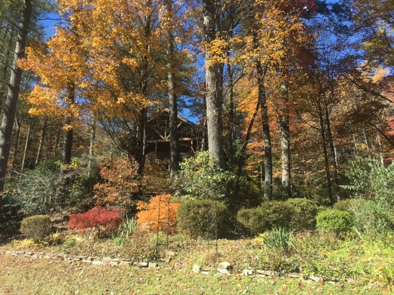Serene Cabin Overlooking Pond on 66 Acres 9