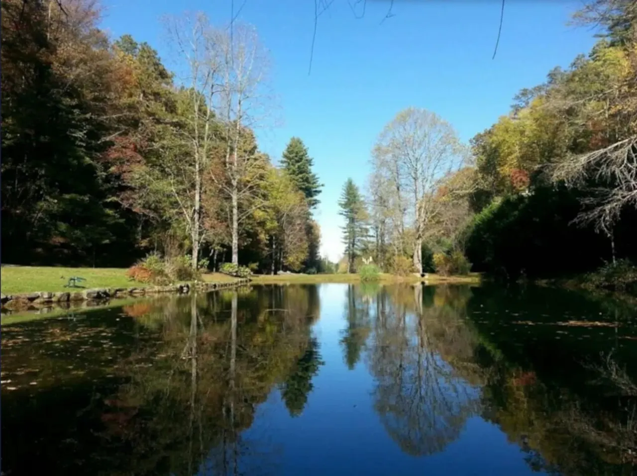 Serene Cabin Overlooking Pond on 66 Acres — photo 3