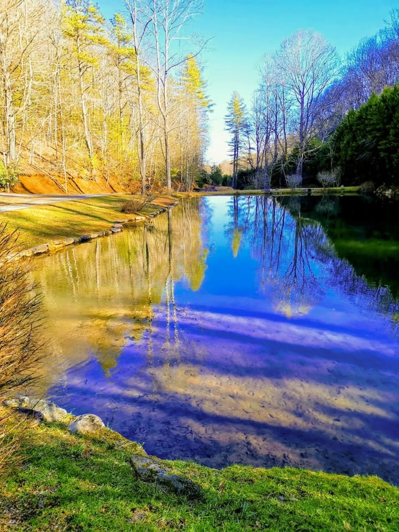 Serene Cabin Overlooking Pond on 66 Acres 8