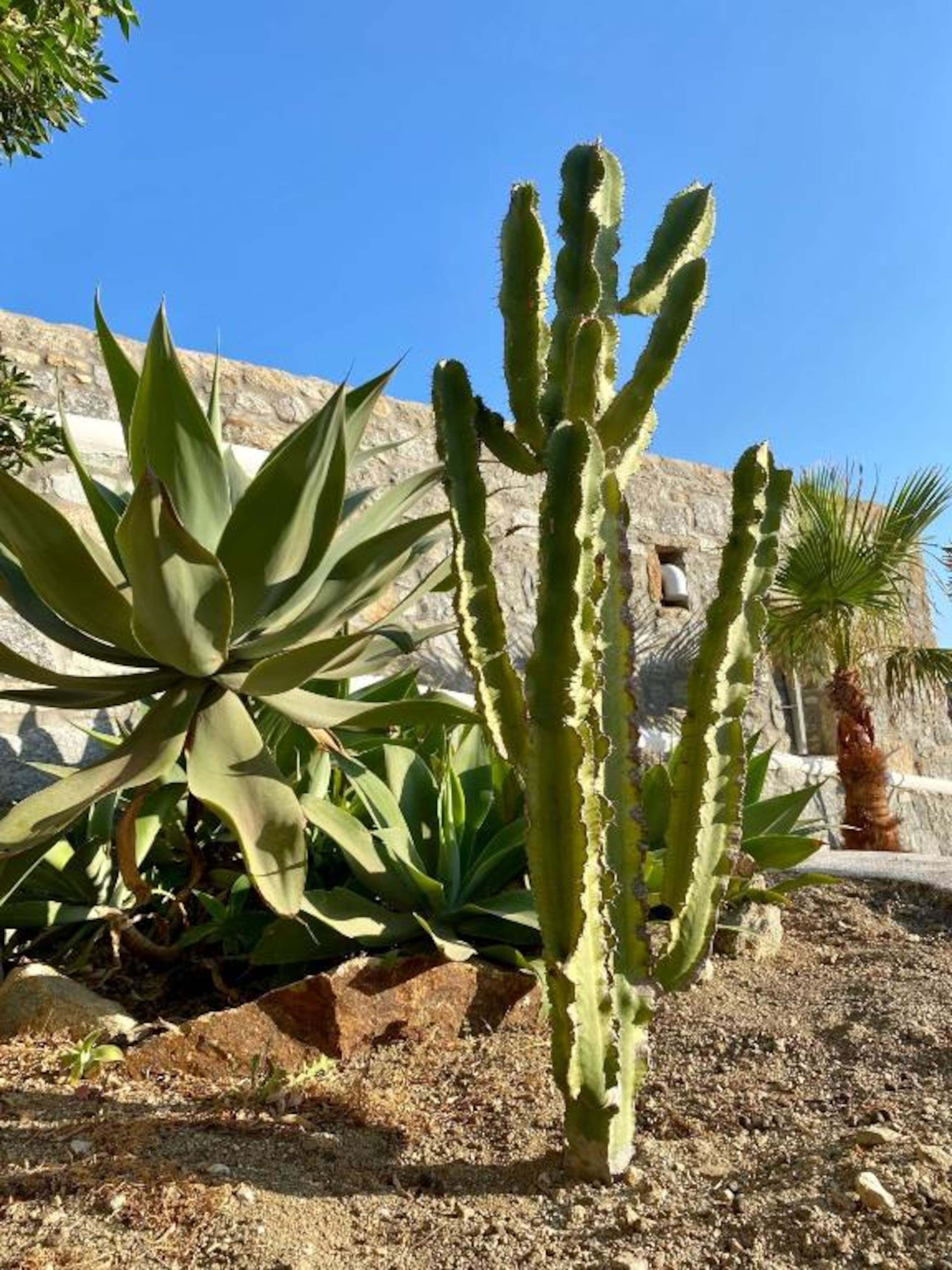 Villa Sensus  Mykonos 37
