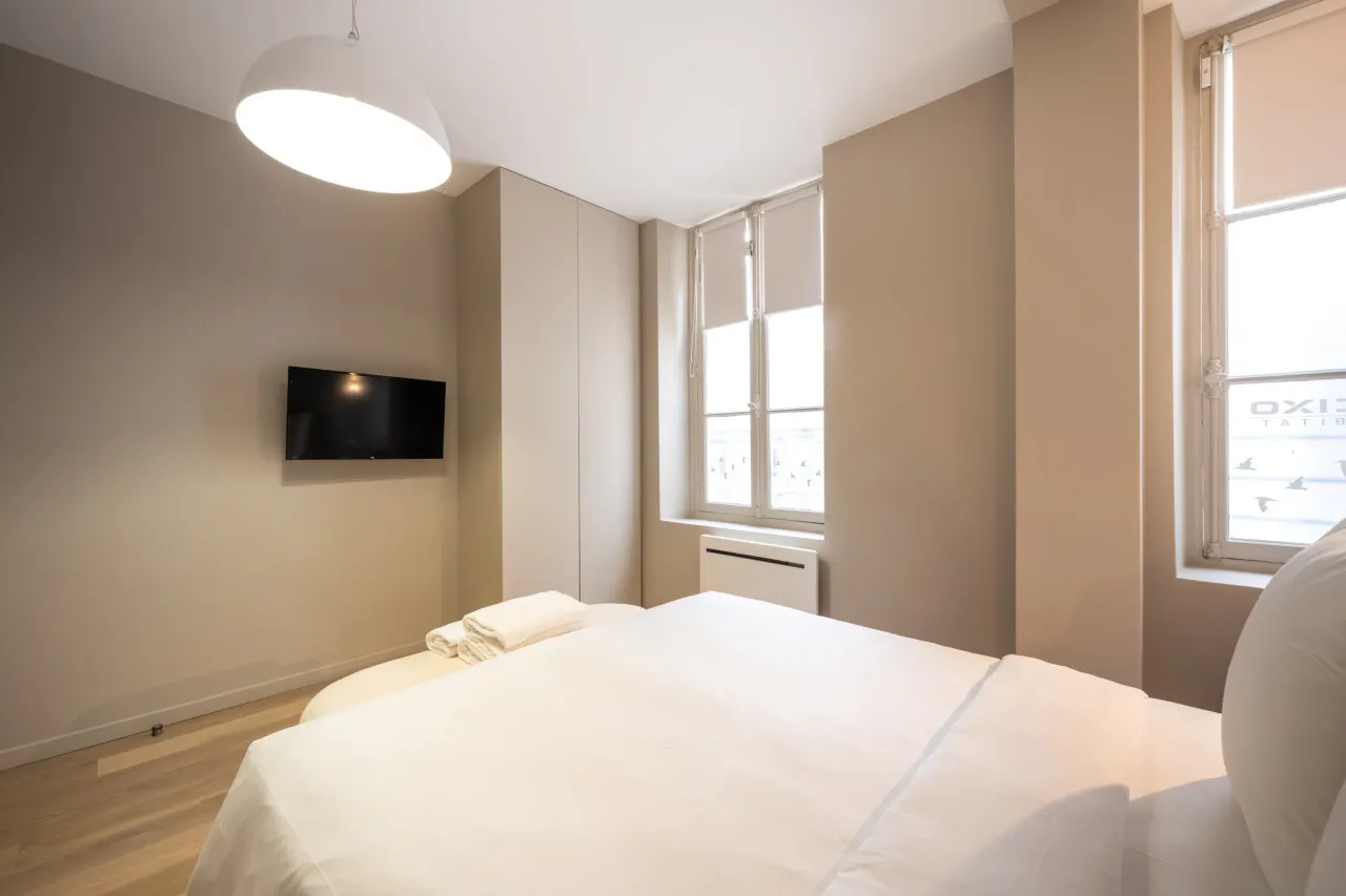 Cosy and Charming flat - 15ème - convention 12