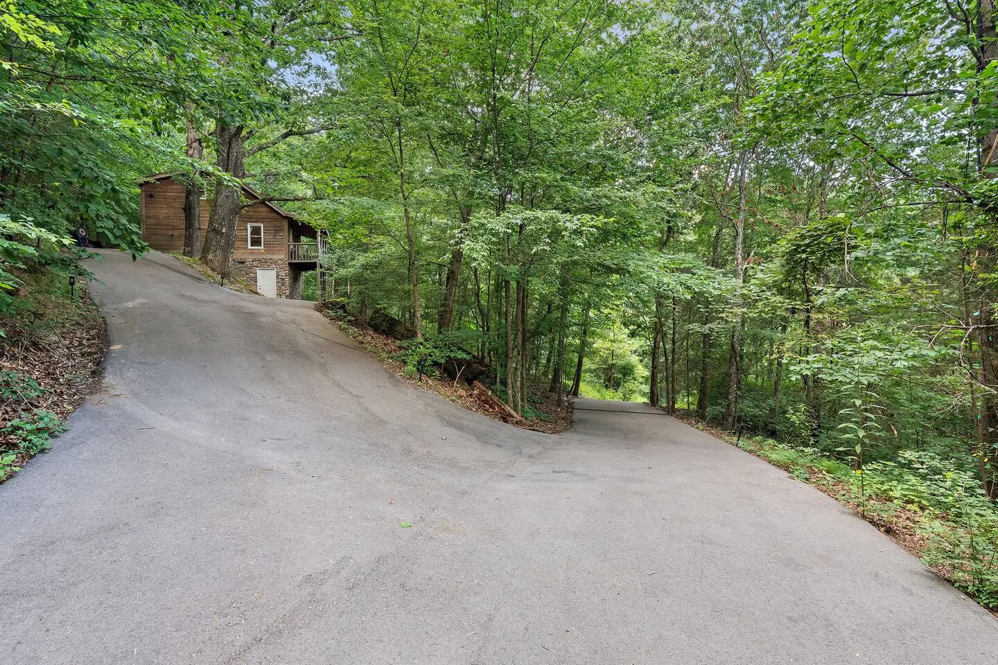 Franklin Cabin Sleeps 6 Arcade Woods + Trail 7