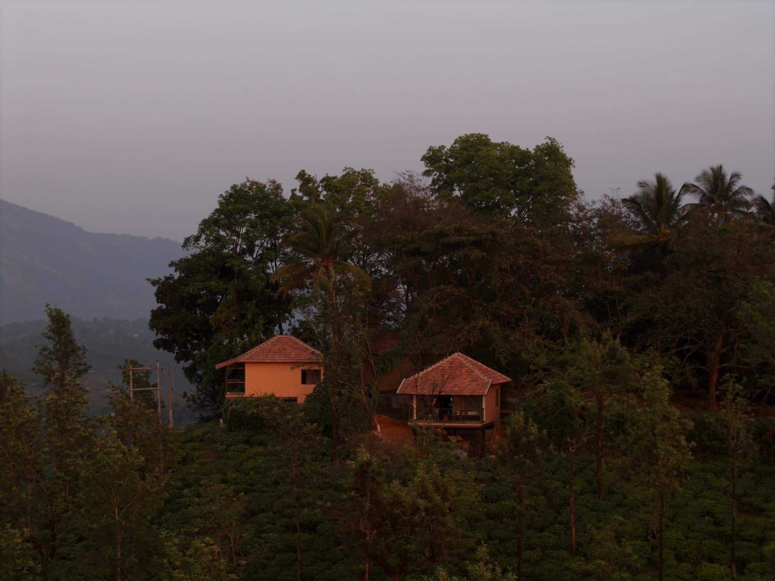 Cottage in a Tea Estate | Private 5